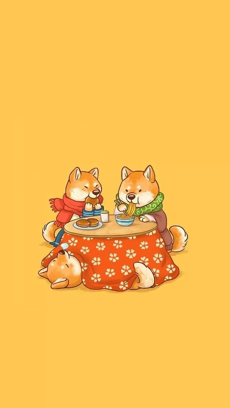 Shibas at dinner, puppy, theme, HD