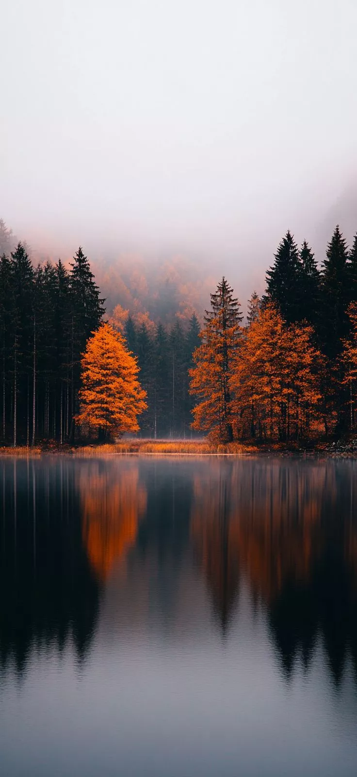 Fall iPhone Wallpaper