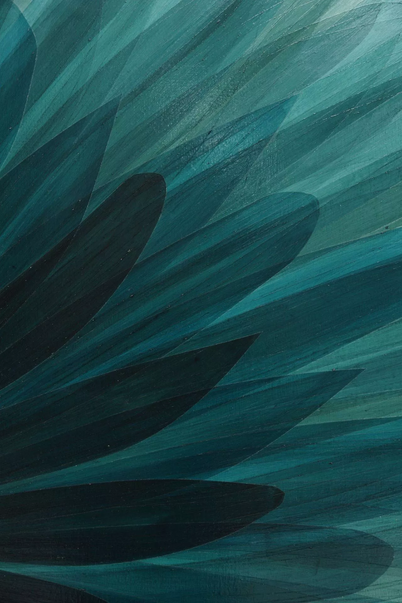 Petal Art Dark Teal iPhone Wallpaper
