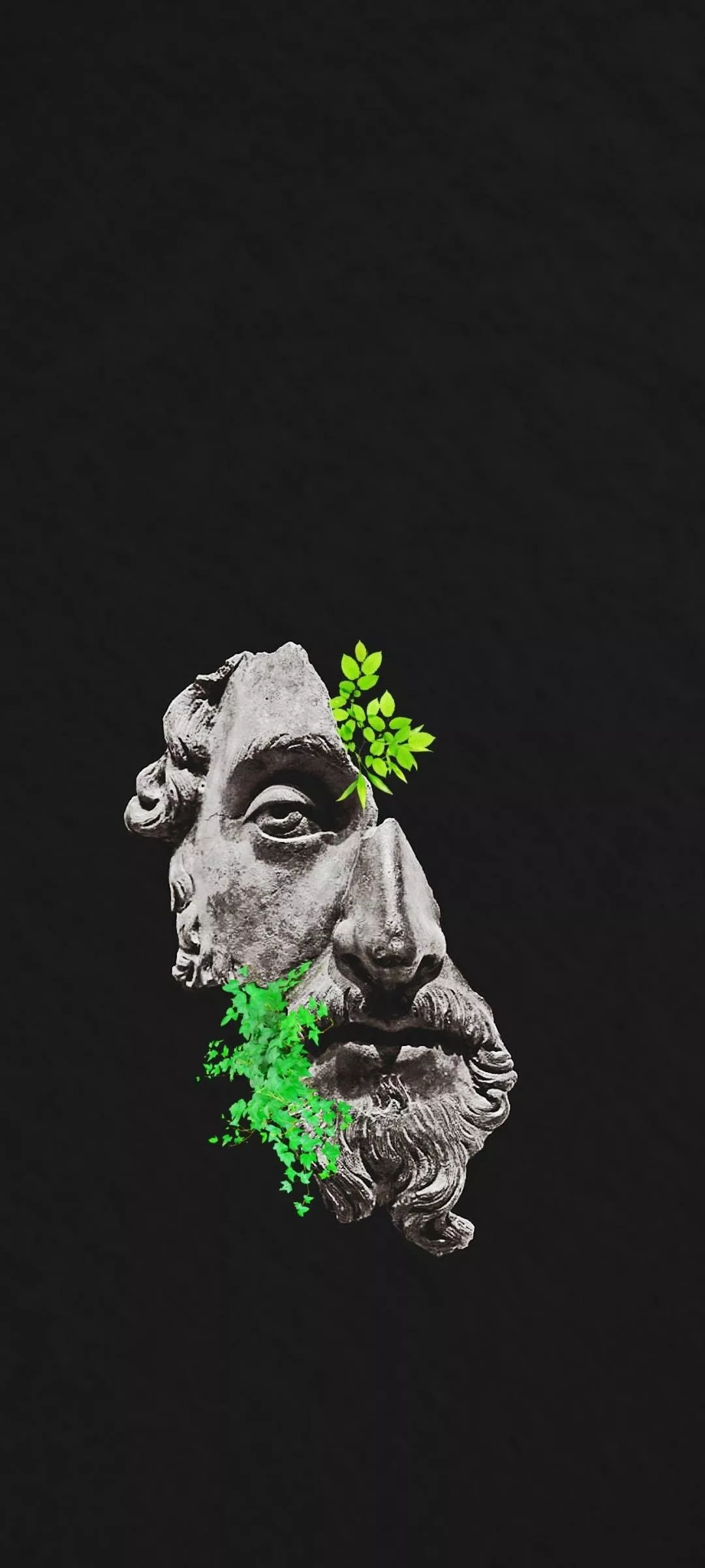 Embracing Marcus Aurelius' Wisdom