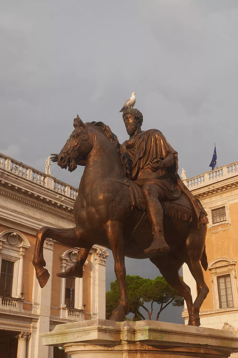 marcus aurelius, seagull, rome, statue