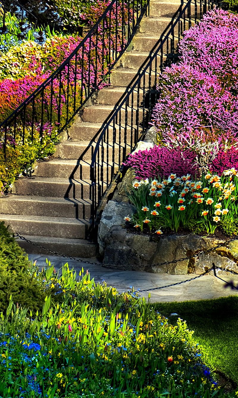 Spring Garden, colors nature, HD phone