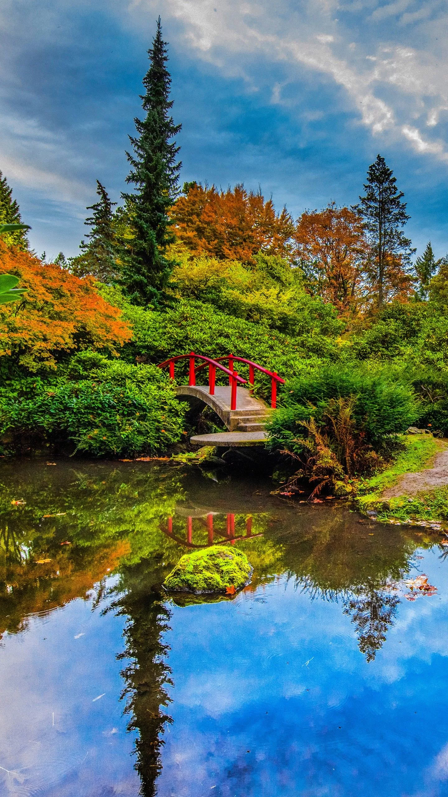 Pond Seattle 4K 5K HD Travel