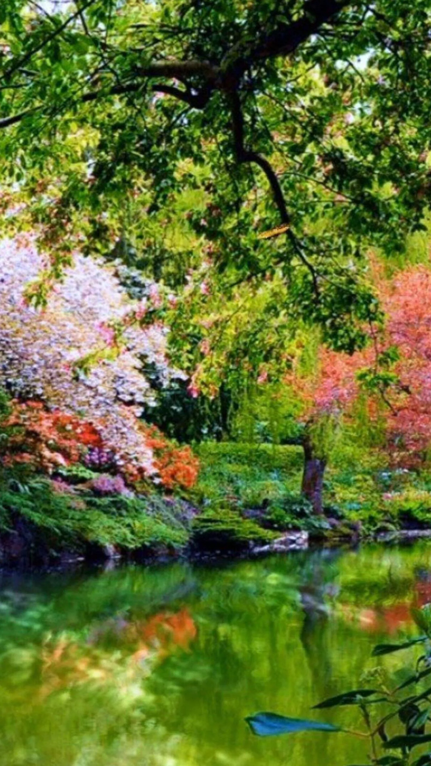 Lake Between Beautiful Colorful Flowers