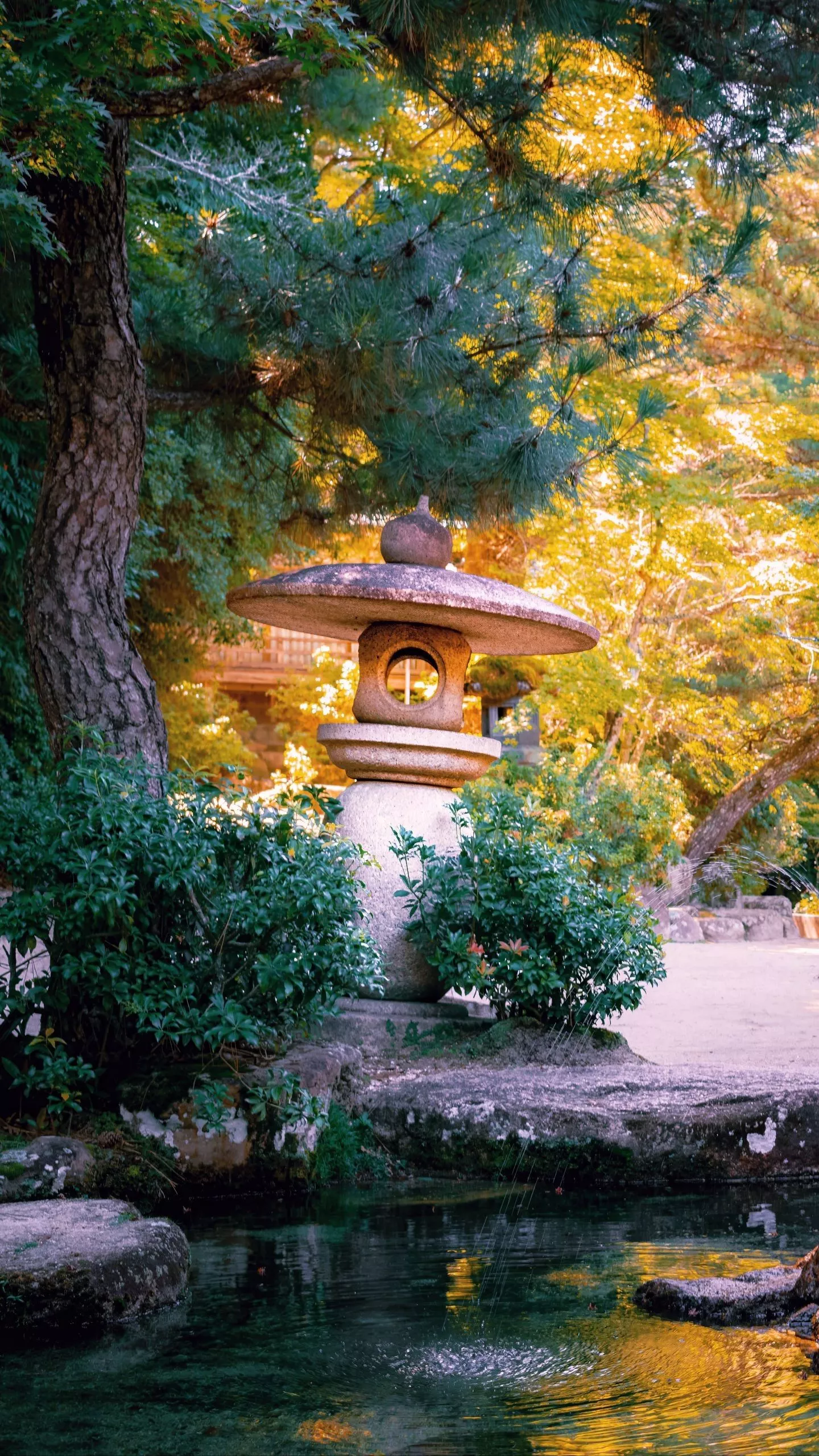 beautiful scenery lantern bushes stone