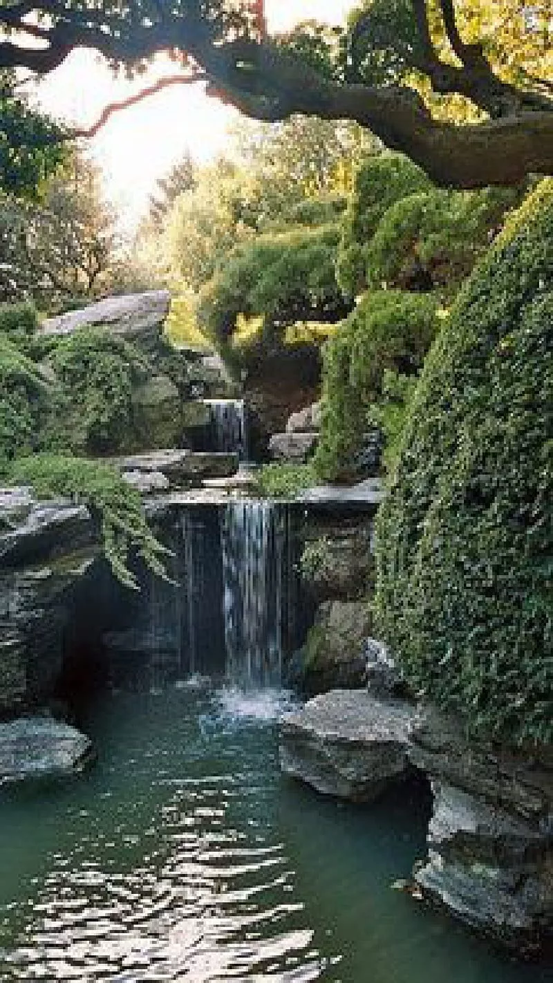 Japanese Garden, waterfall, rocks
