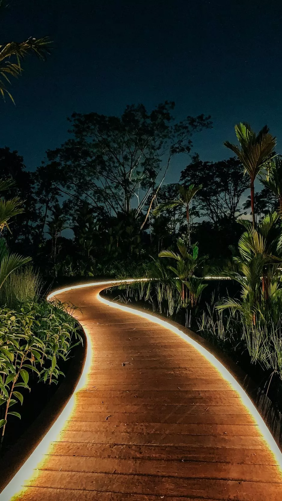 Download wallpaper 938x1668 bushes