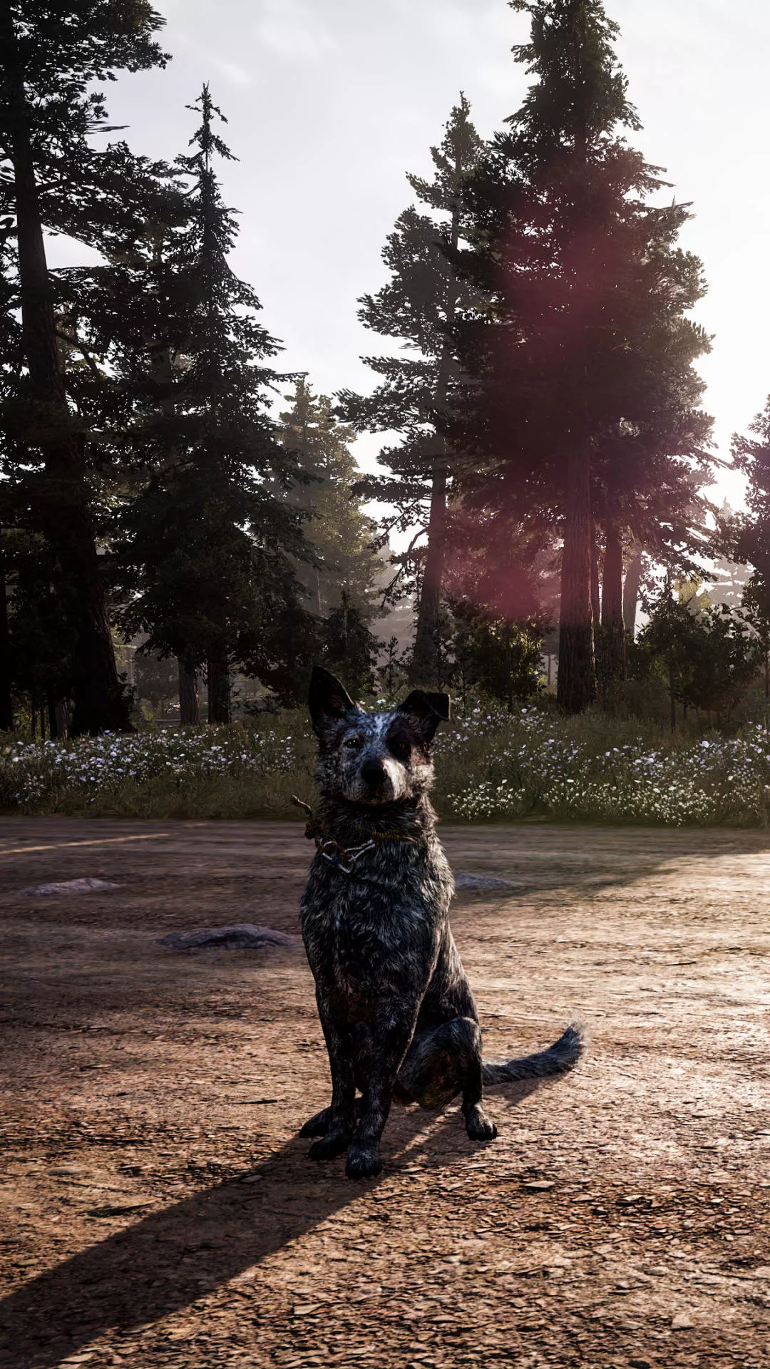 Far Cry 5 Boomer Forest iPhone