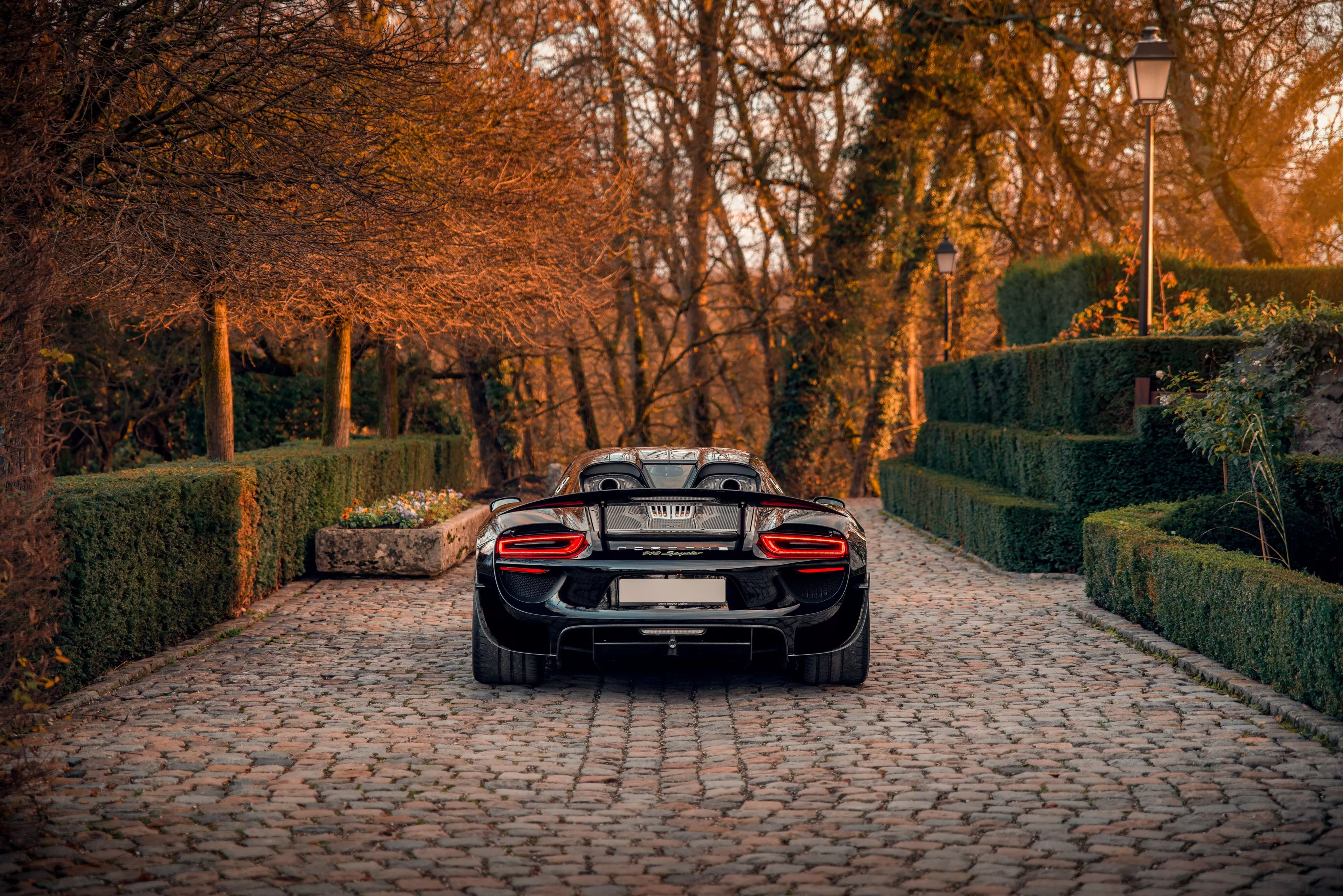 Wallpaper Porsche, 918, rear, Porsche