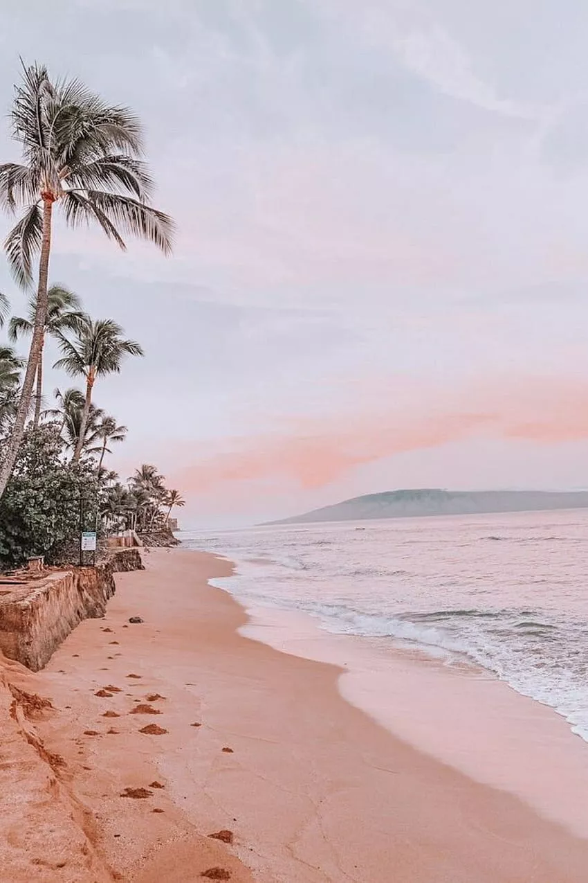 summer, summer vacation