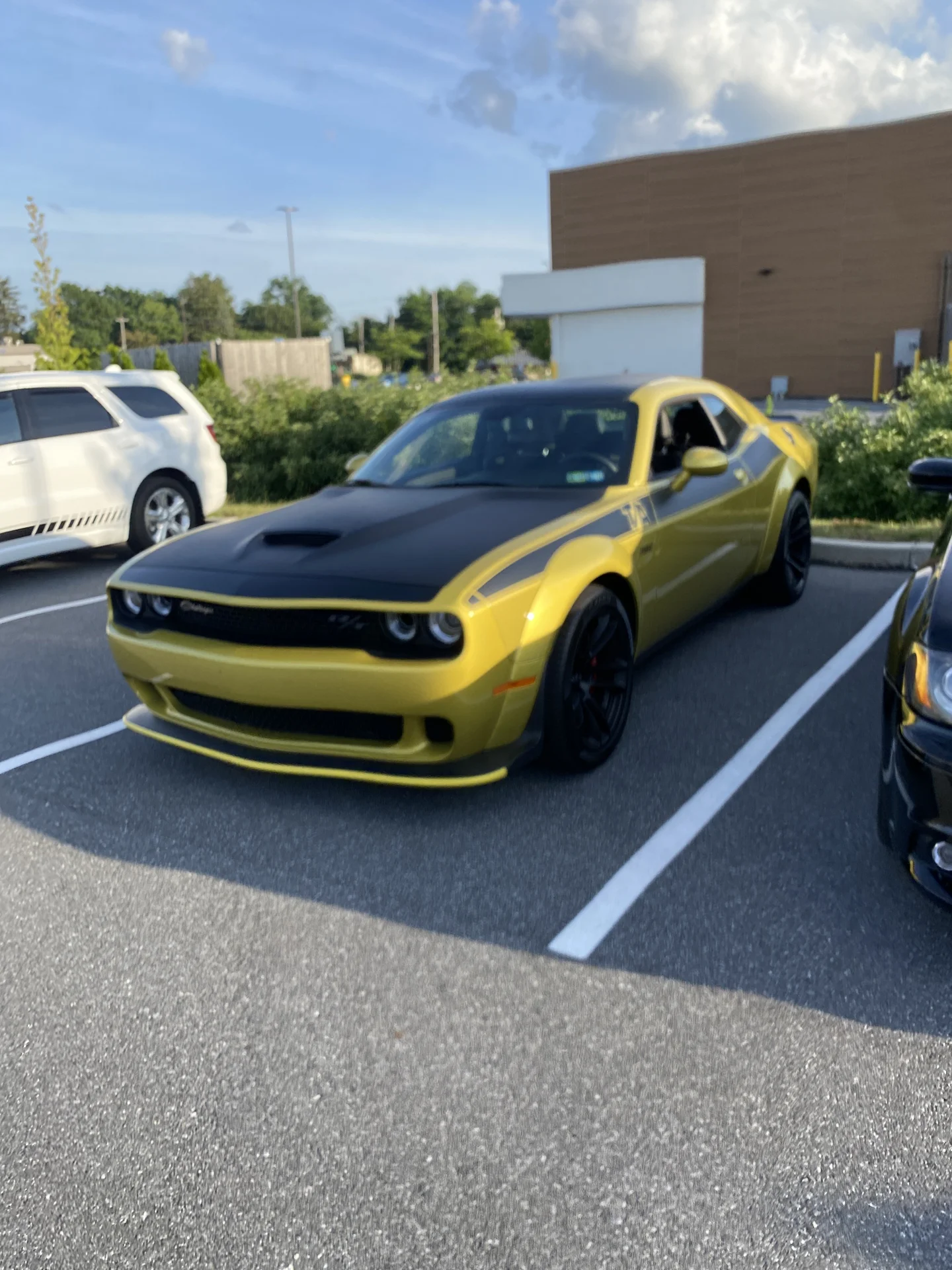 GOLD RUSH! limited run color, what are