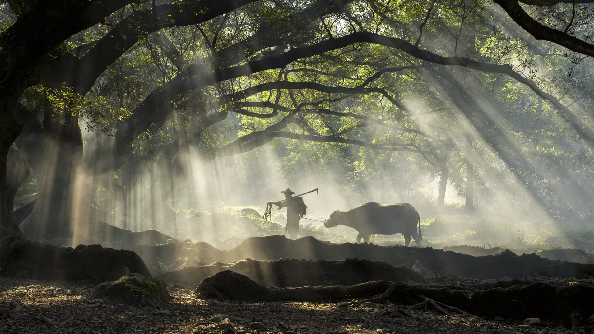 Discover Fujian, China's coastal gem