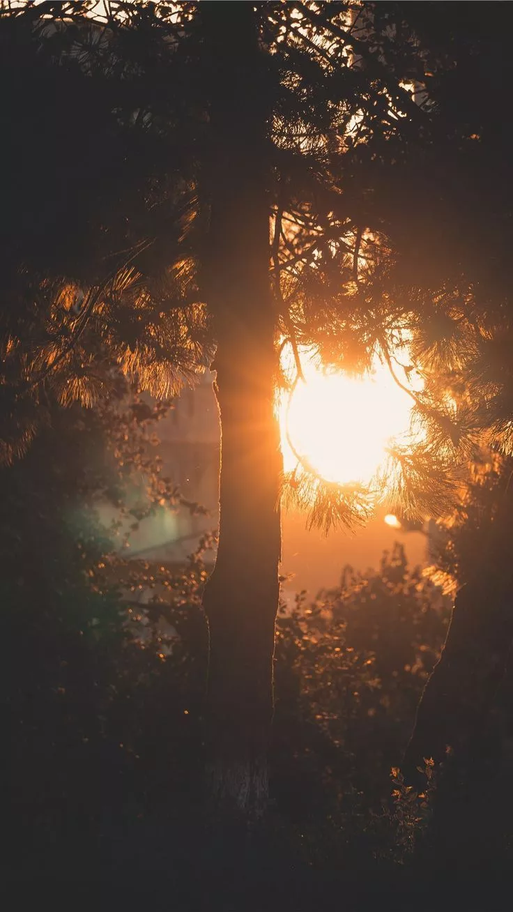 Golden Hour in the City iPhone 8 Wallpaper