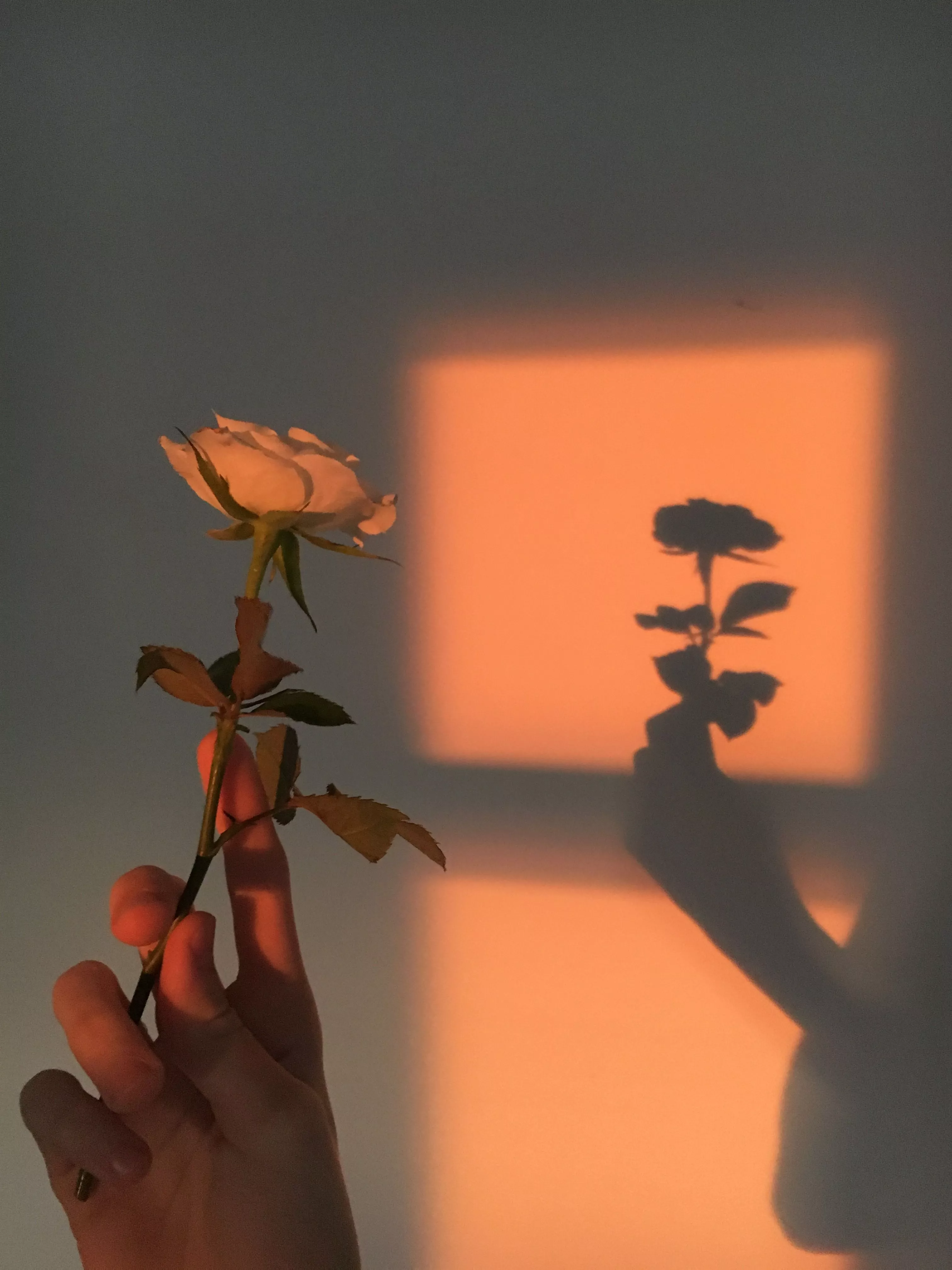 aesthetic wallpaper, aesthetic vintage