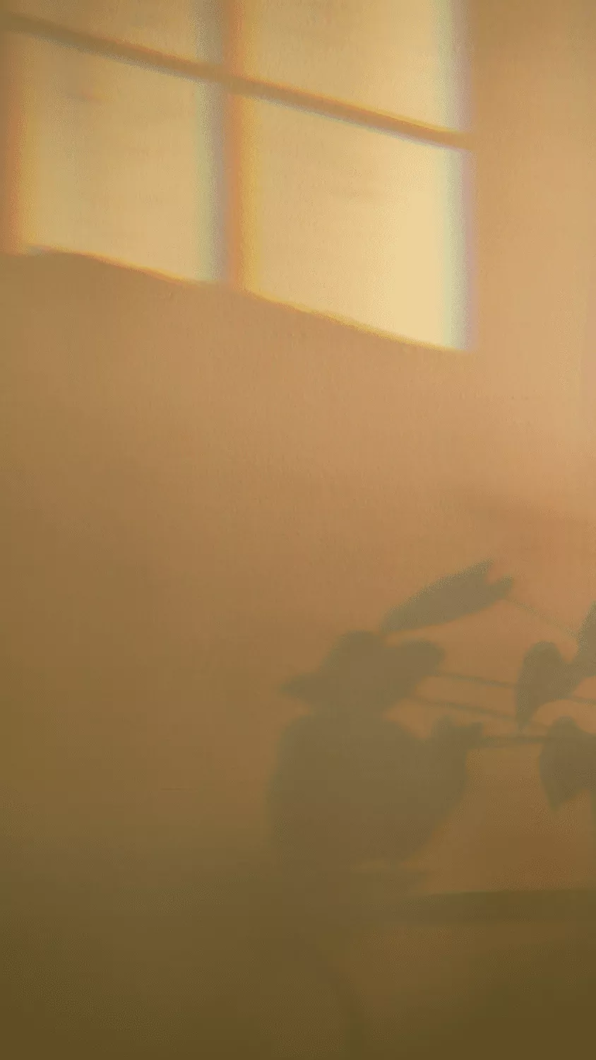 Best Golden Hour Aesthetic lights, HD