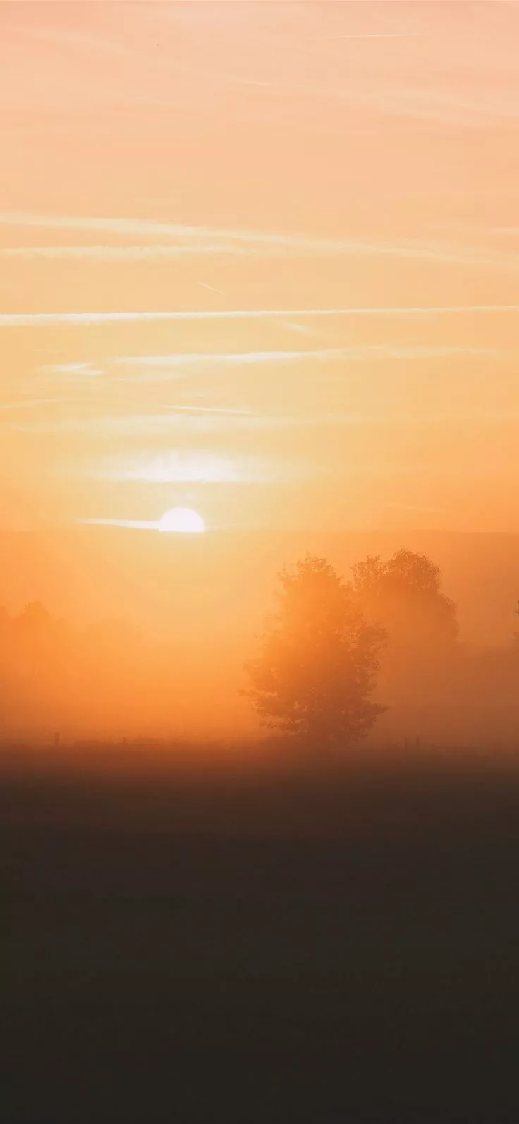 golden hour iPhone 11 Wallpaper