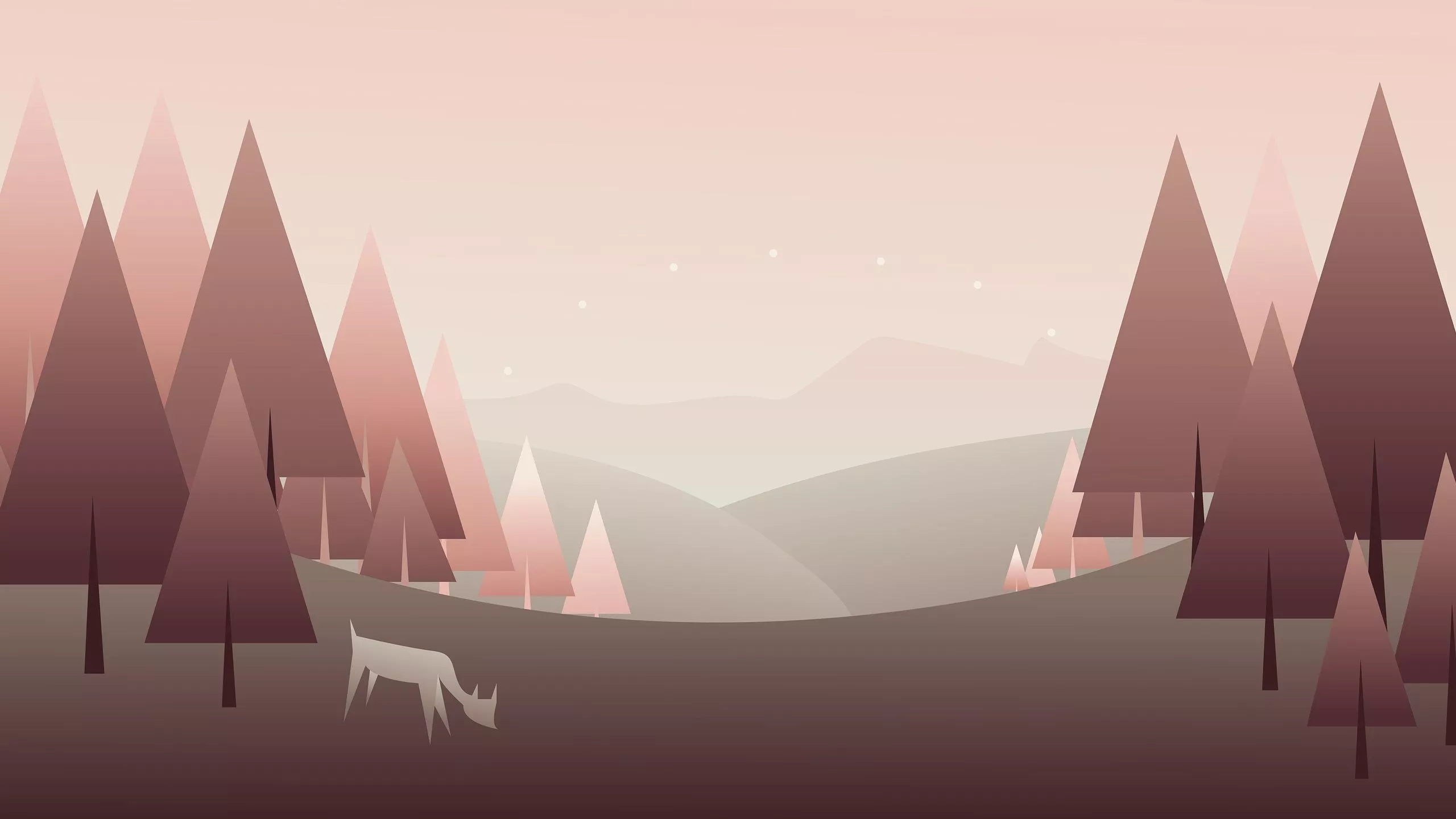 Forest Minimal Art 4k 1440P