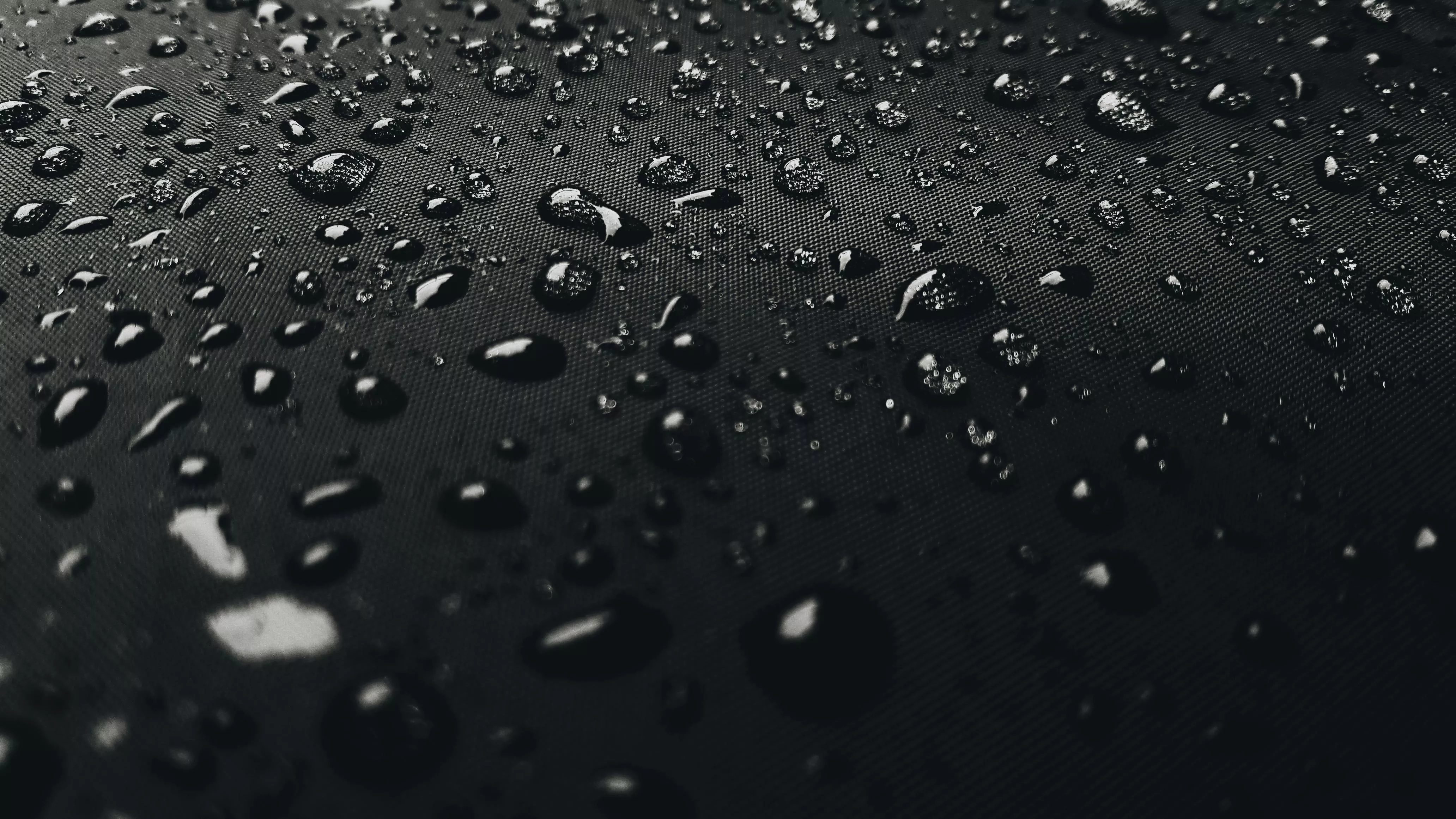 Macro Photography of Rain Drops