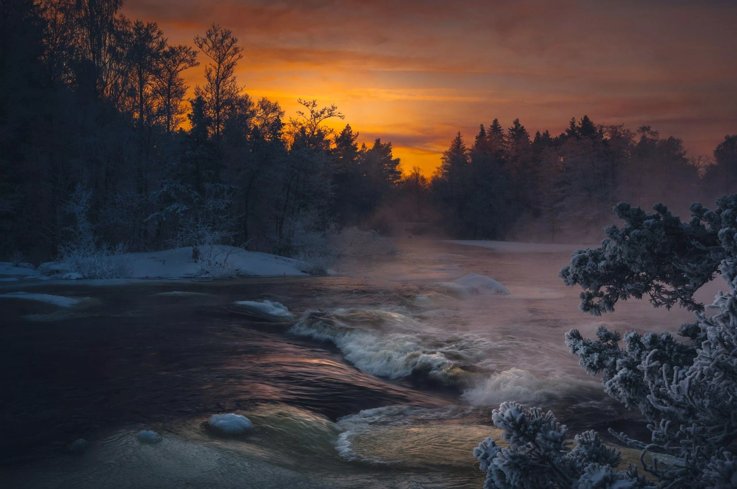 Dark Winter Wallpaper Free