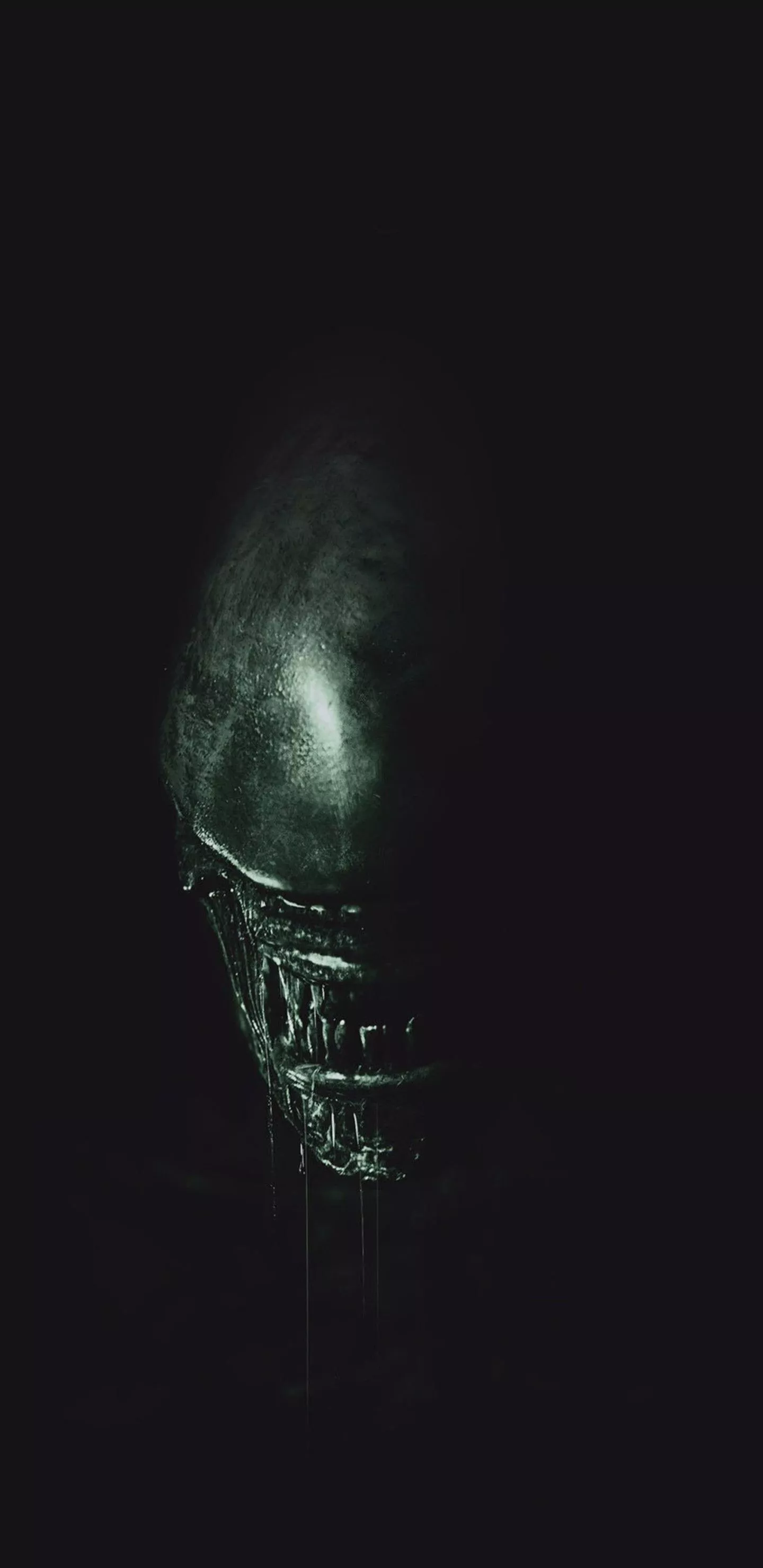 Alien (Movie) Wallpaper (