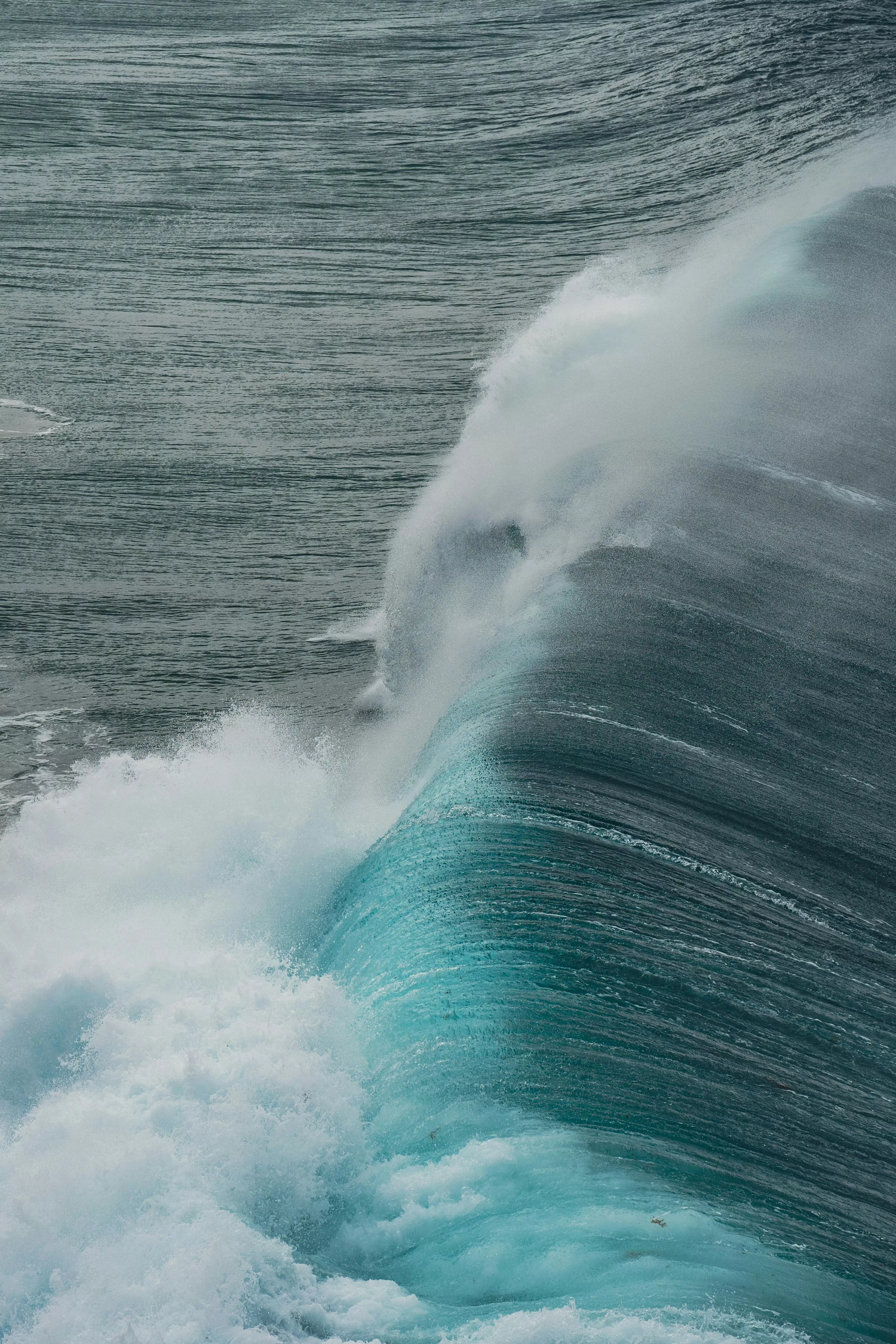 Big Sea Wave · Free