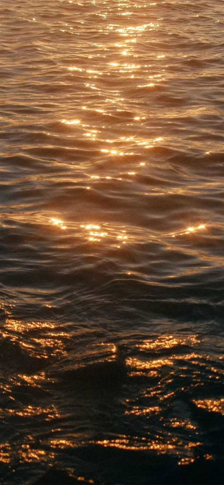 calm sea during golden hour iPhone 11
