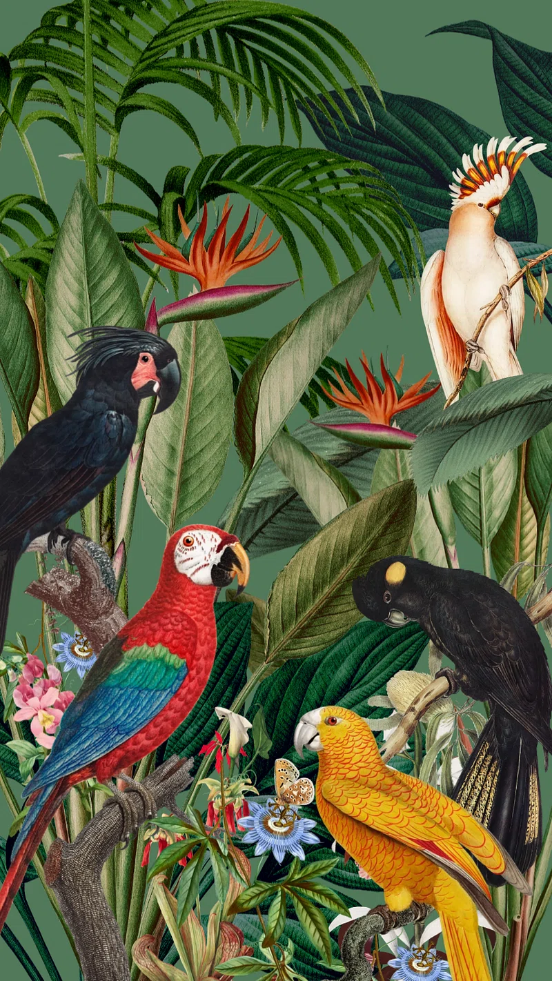 Exotic birds jungle iPhone wallpaper