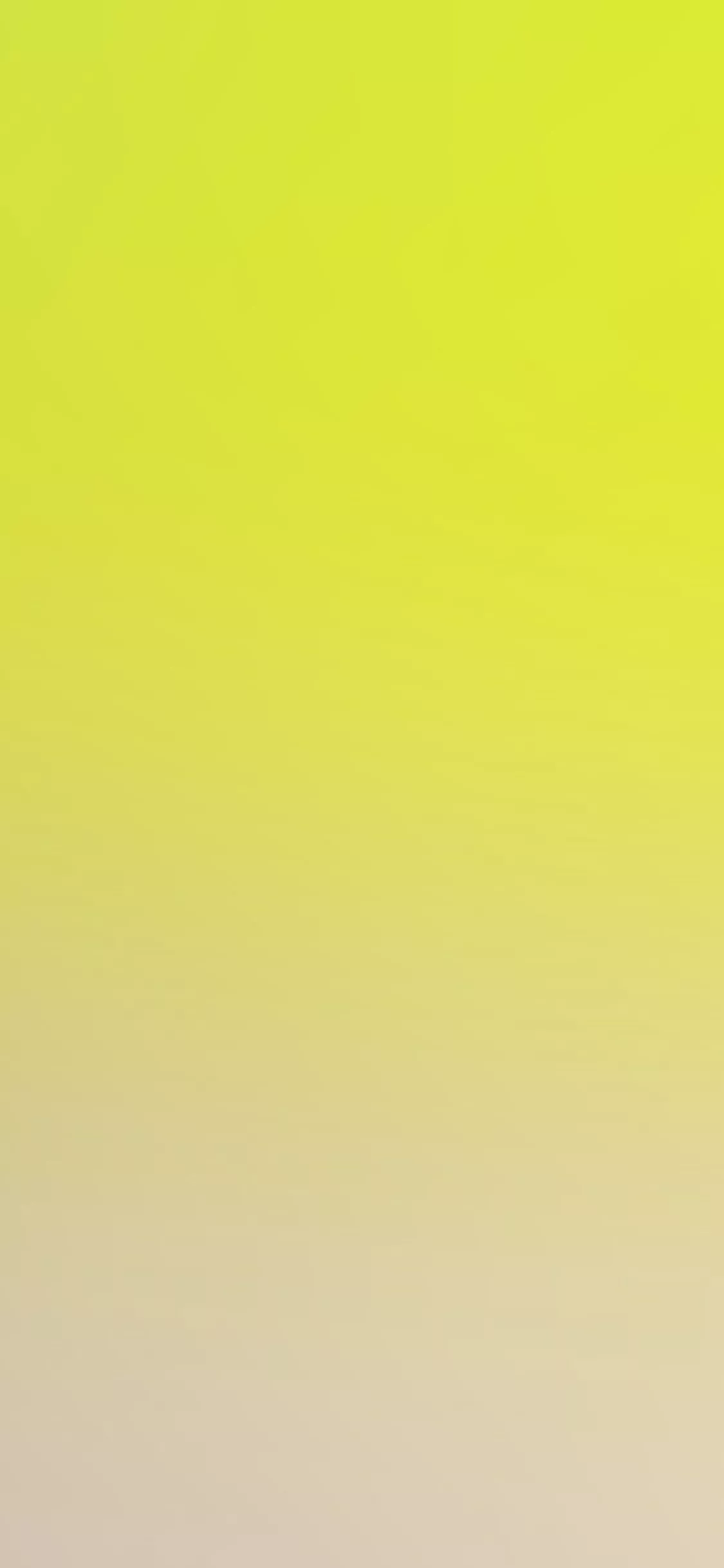 Lemon Yellow Gradation Blur