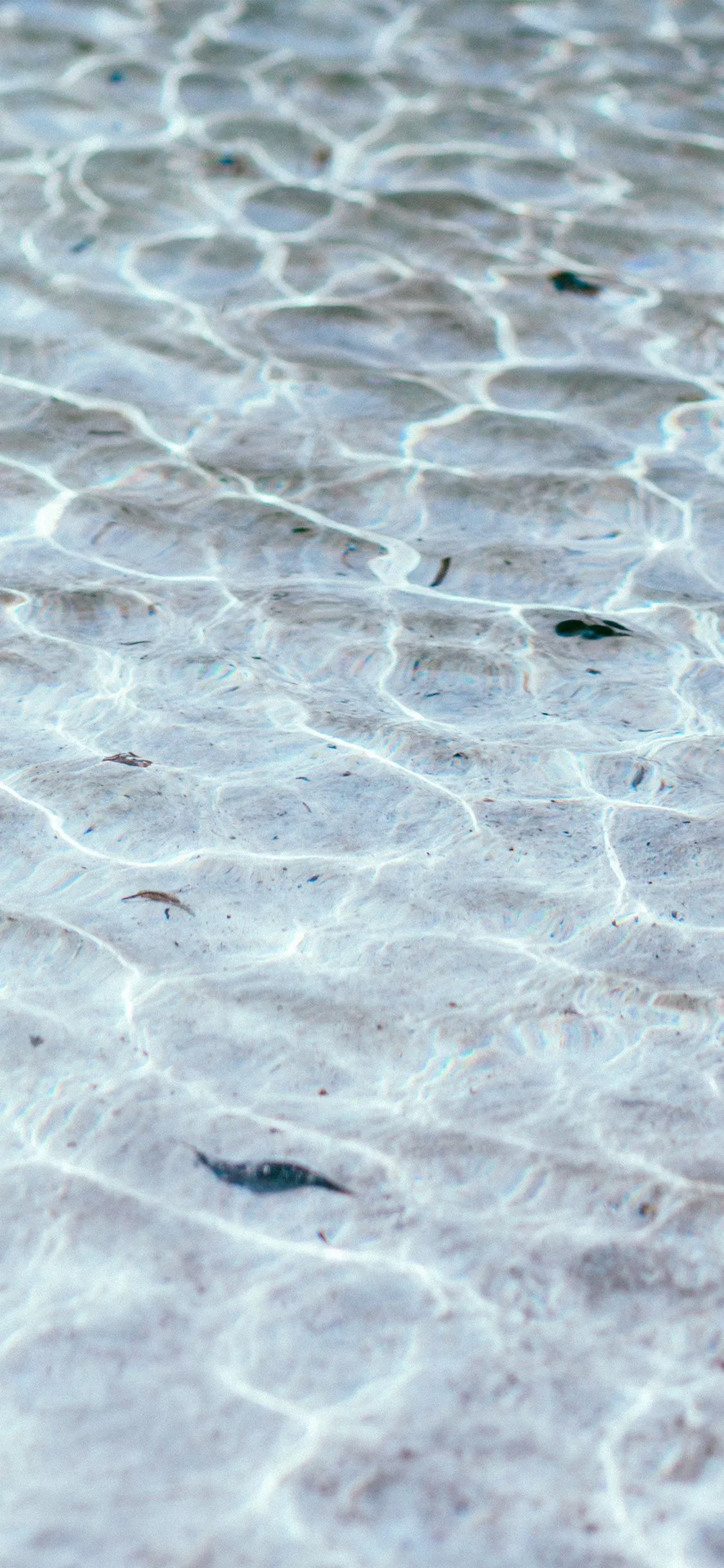 Ocean Sea Water Summer Nature