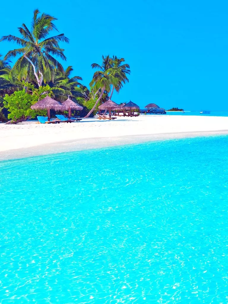 Crystal Clear Water Ultra HD Wallpaper