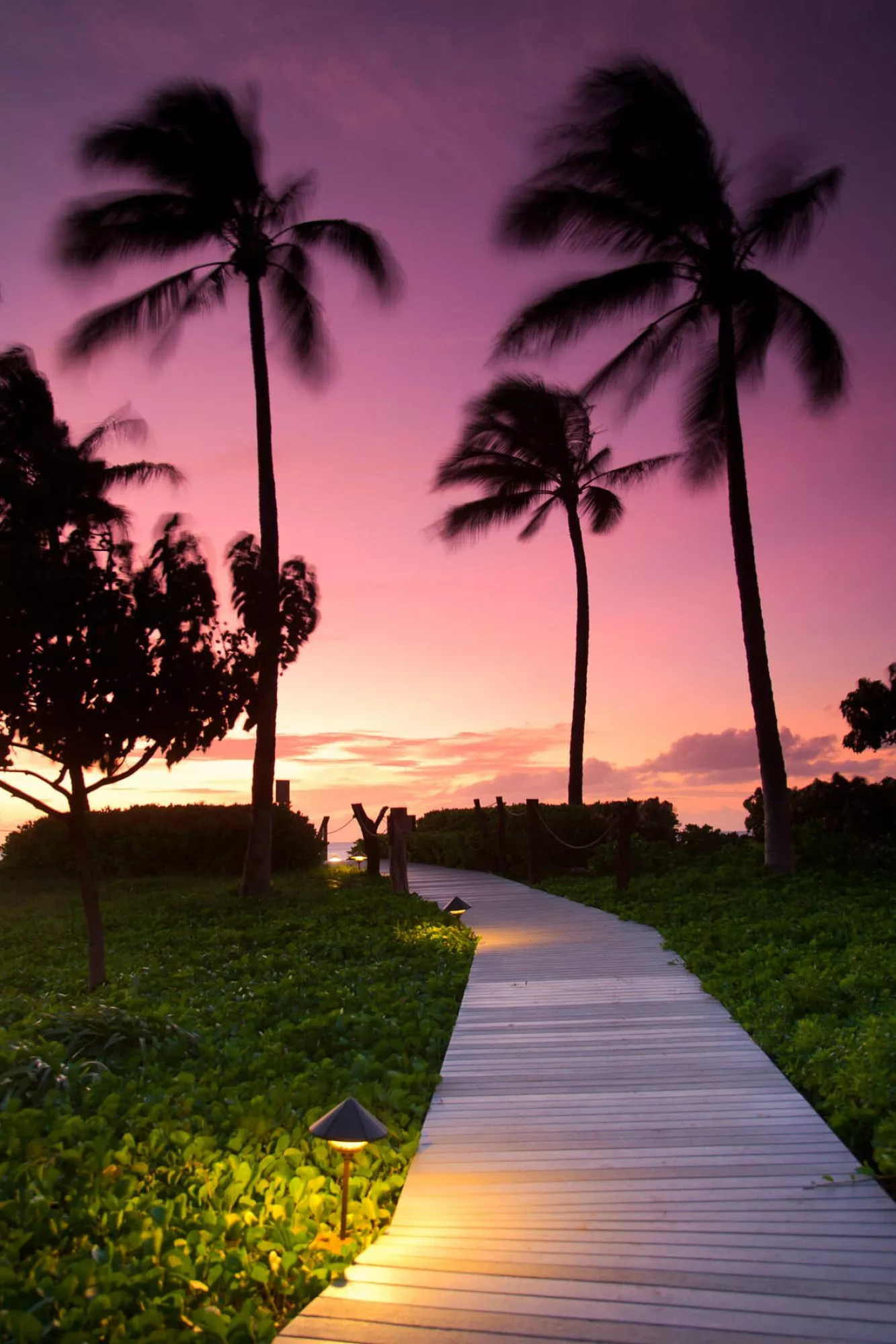 Maui (Hawaii) Wallpaper (