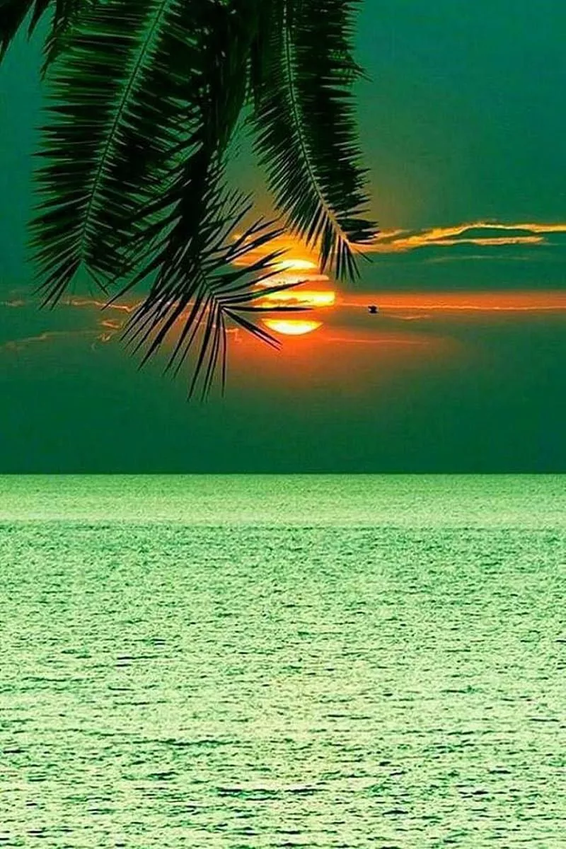 Maui sunset, hawaii, HD phone wallpaper