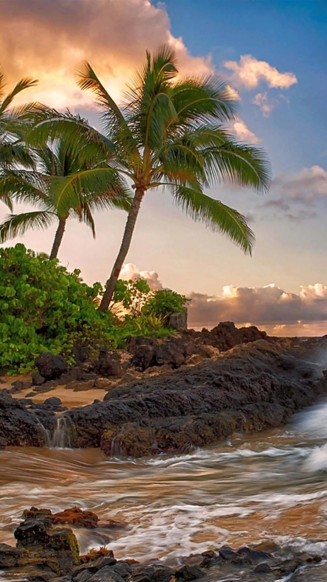 Download Vibrant Summer Scenery