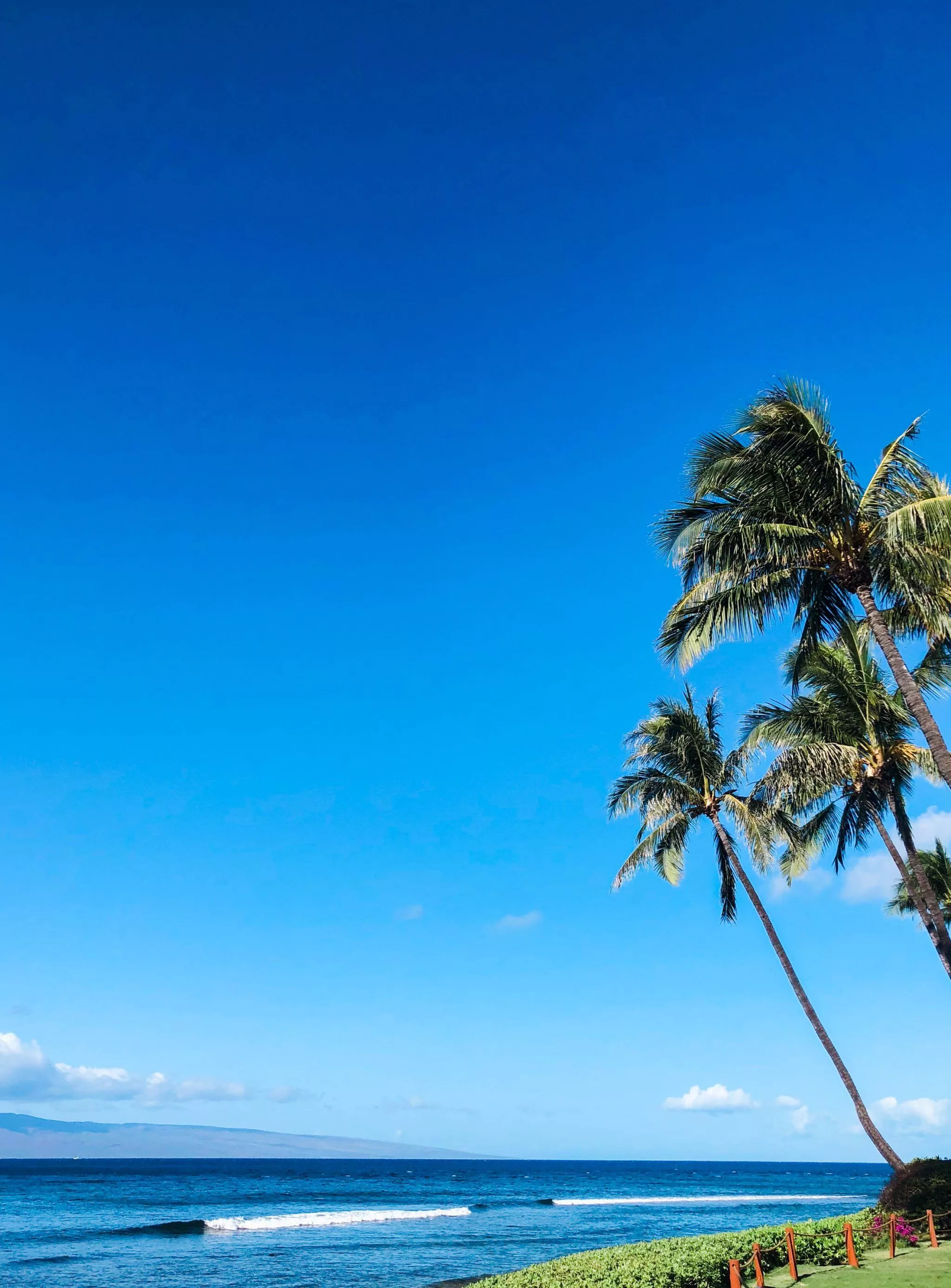 Travel Guide: Maui, Hawaii By Alex