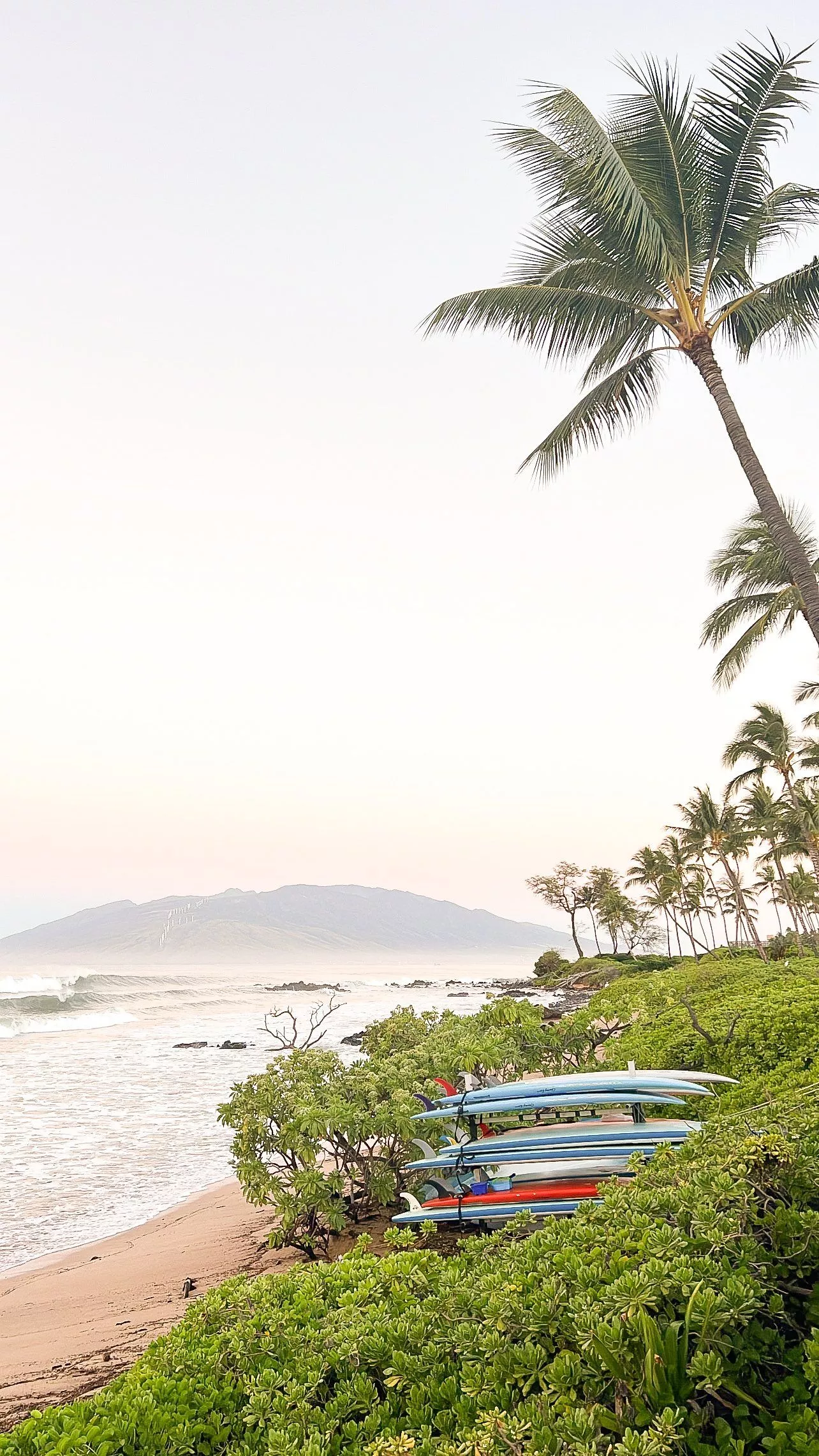 An Essential Guide to Andaz Maui