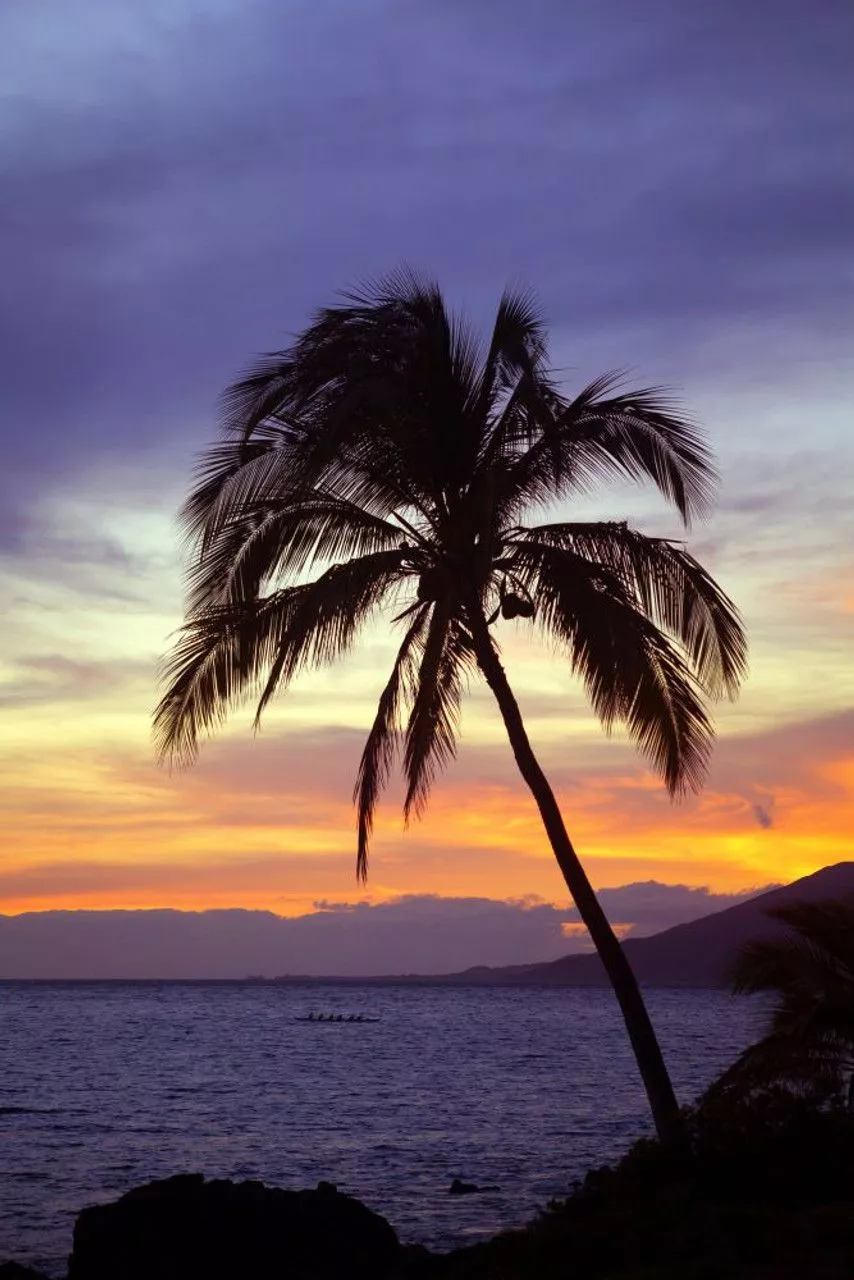 Tropical sunset over the Pacific Ocean