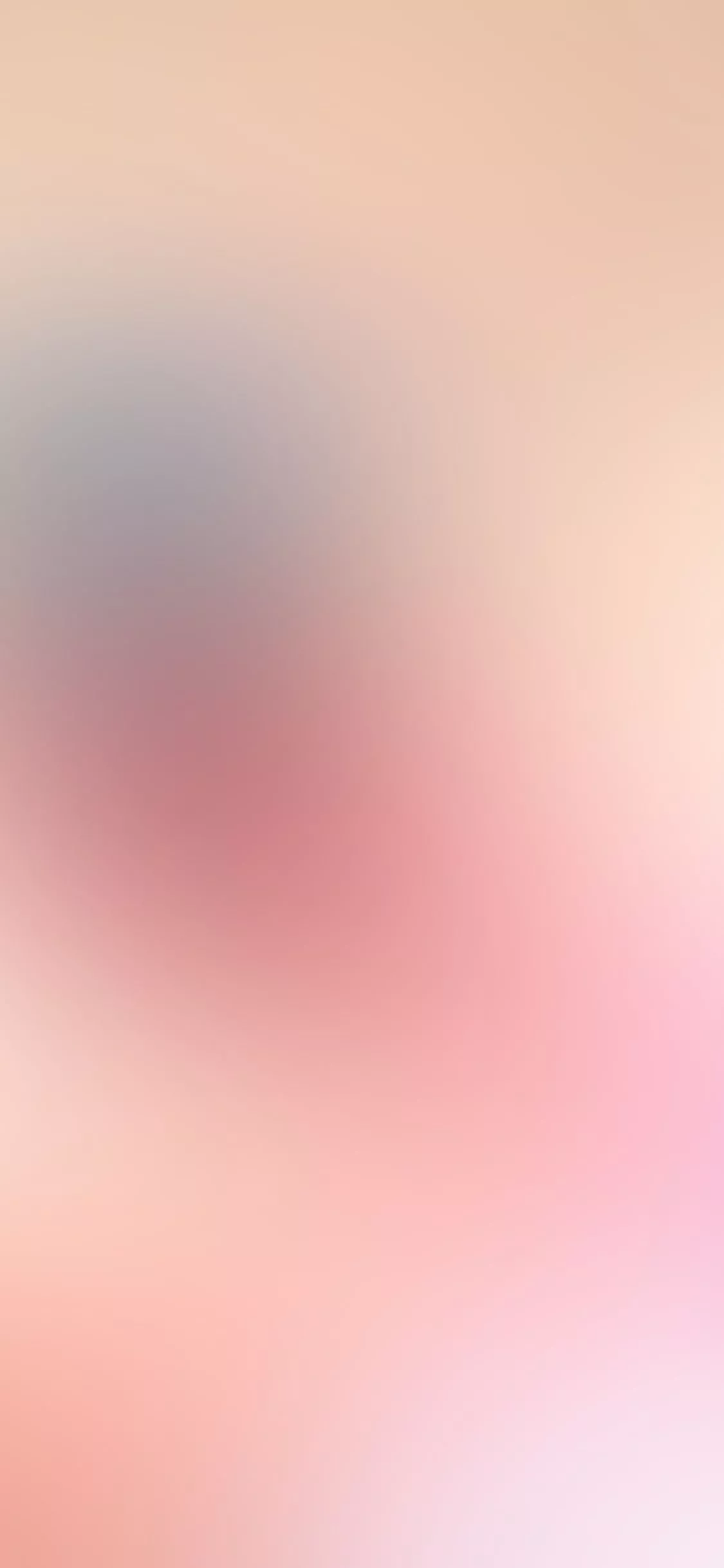 Soft Shy Pink Gradation Blur