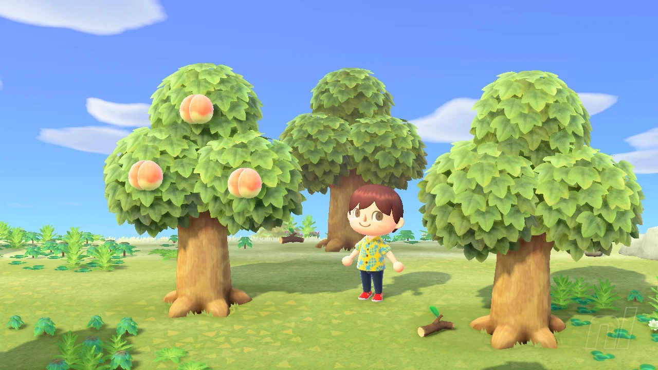 Animal Crossing: New Horizons: How To