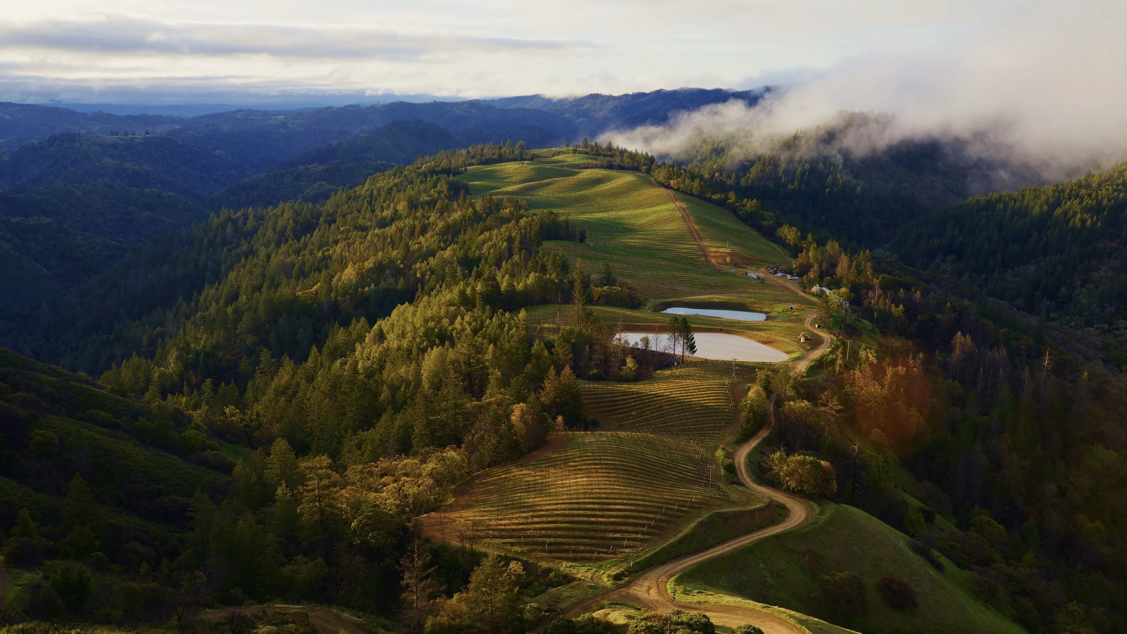 Dylan recently added four