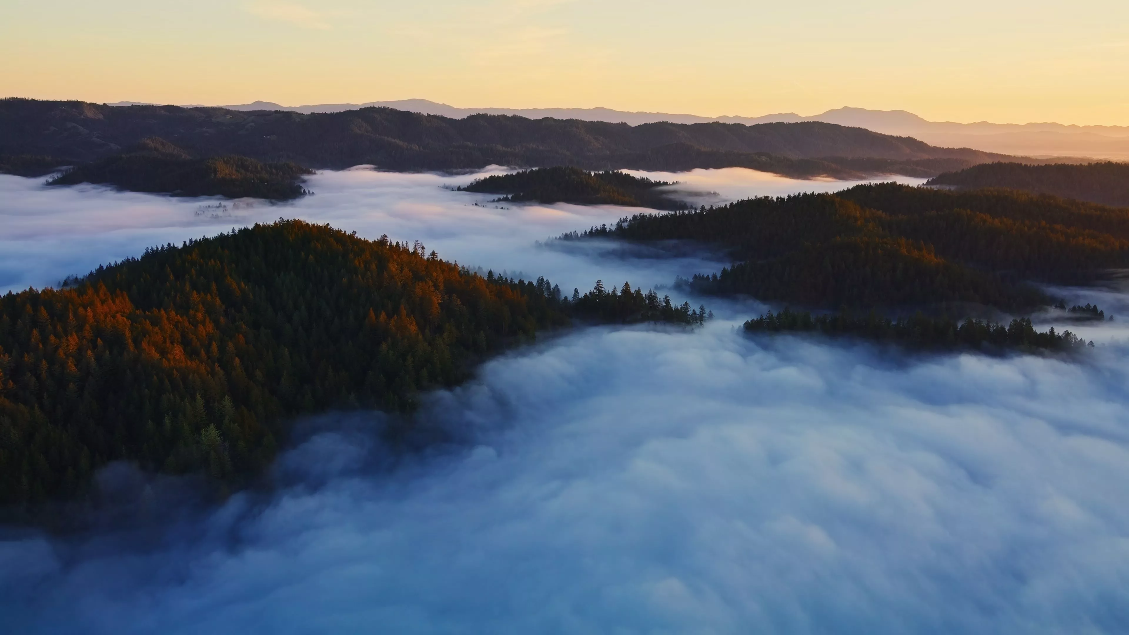 Dylan recently added four