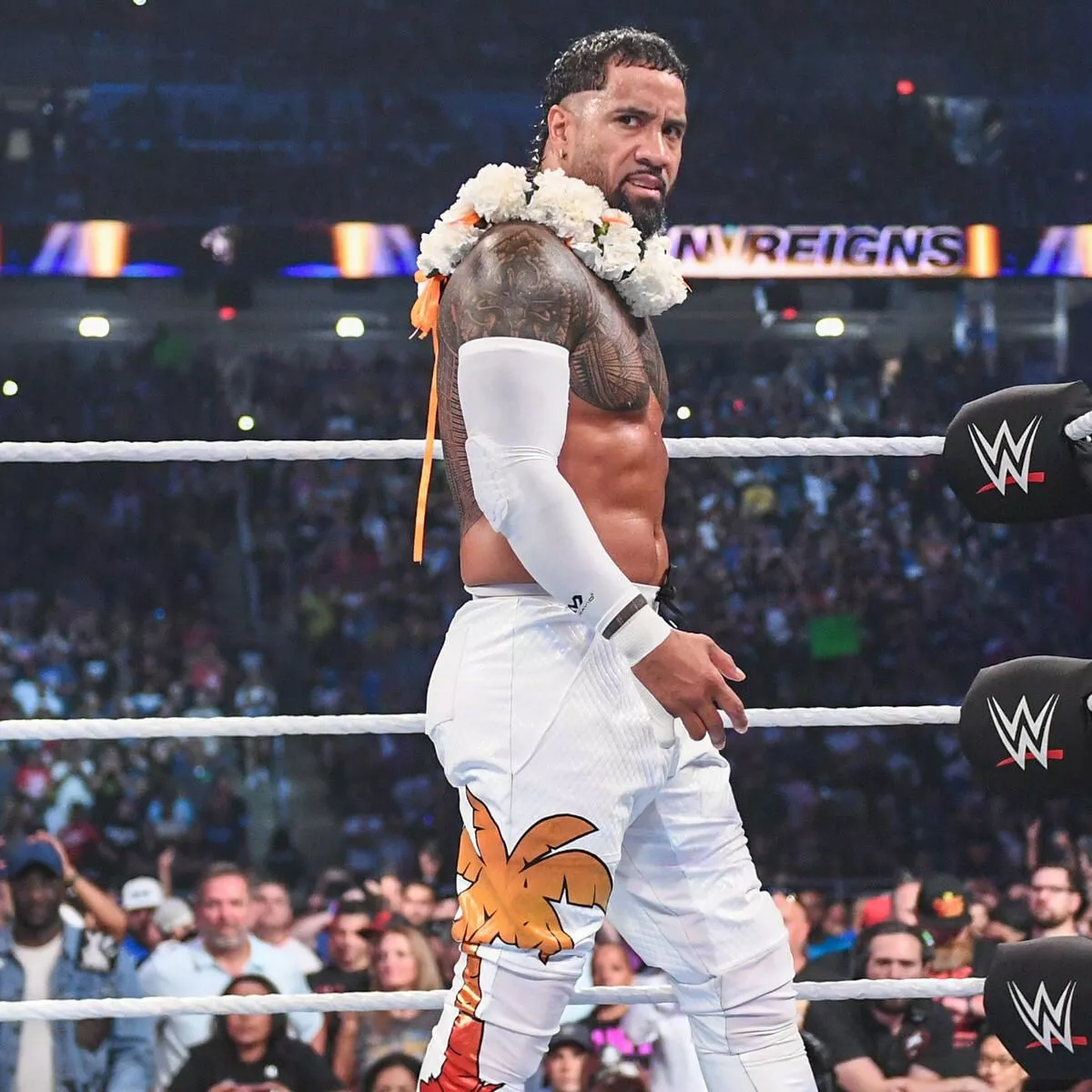 Roman Reigns vs. Jey Uso - Tribal