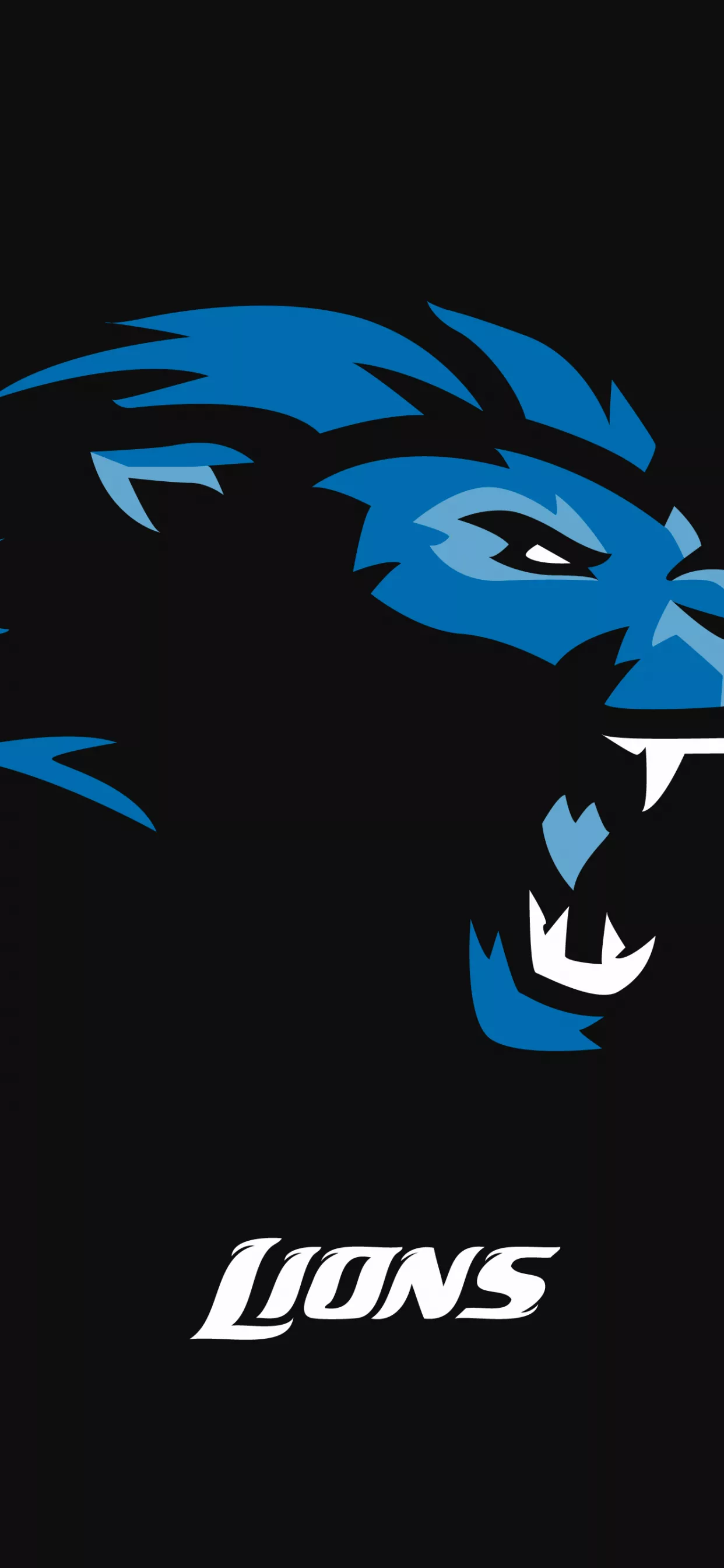 Detroit Lions Wallpaper 4K, Black