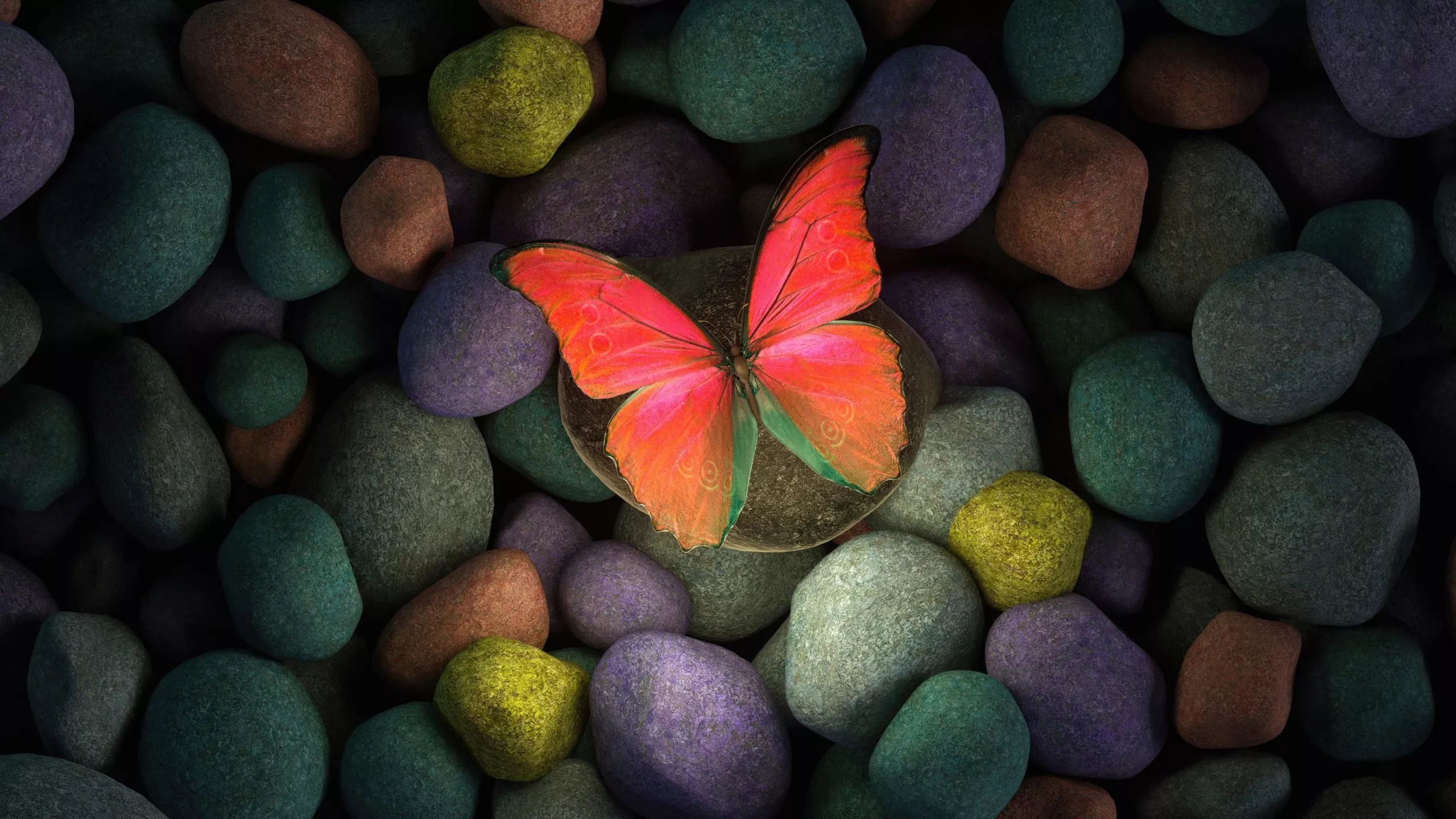 Butterfly Wallpaper 4K, Stones
