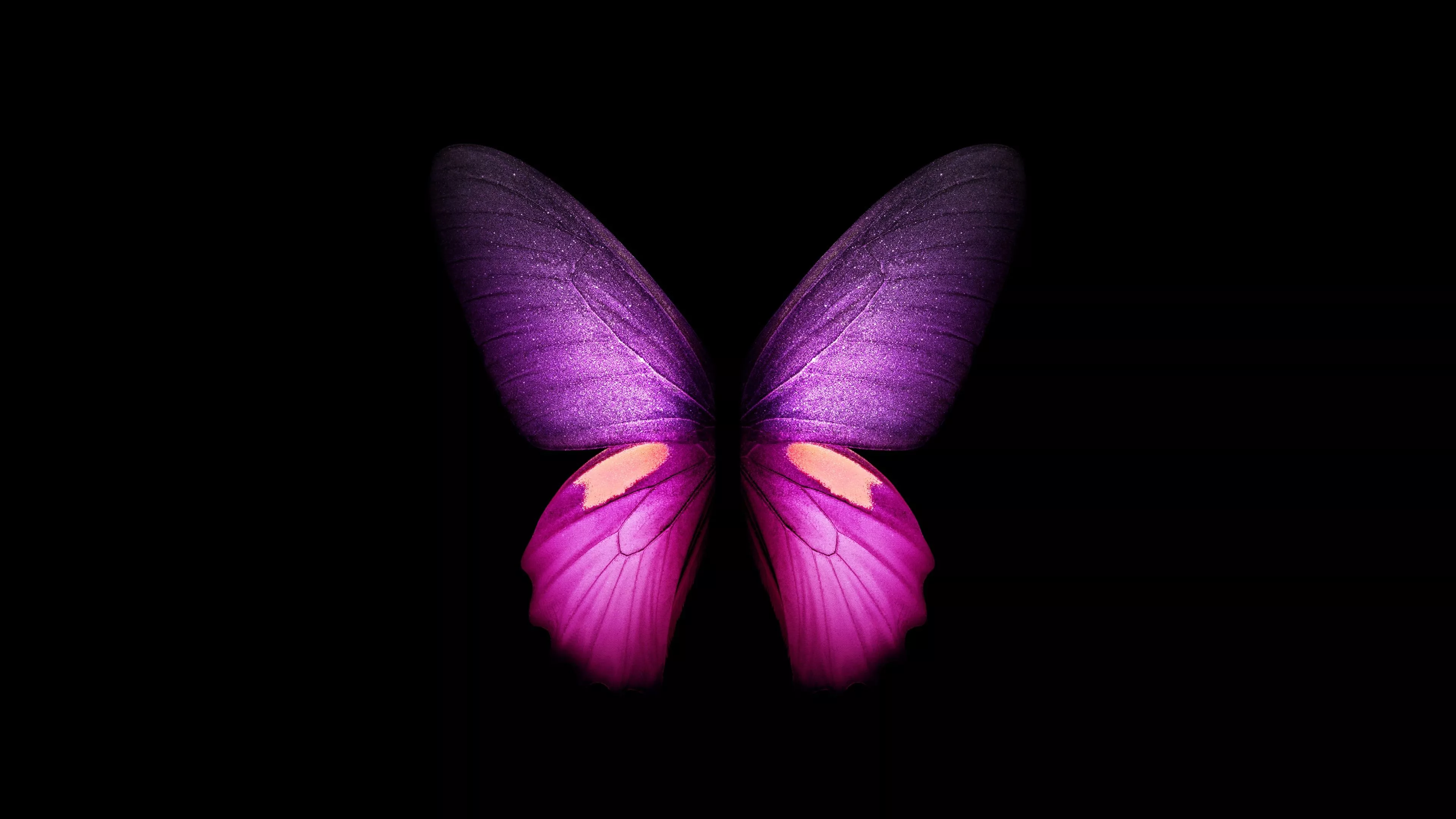 Purple Butterfly Wallpaper 4K, Wings