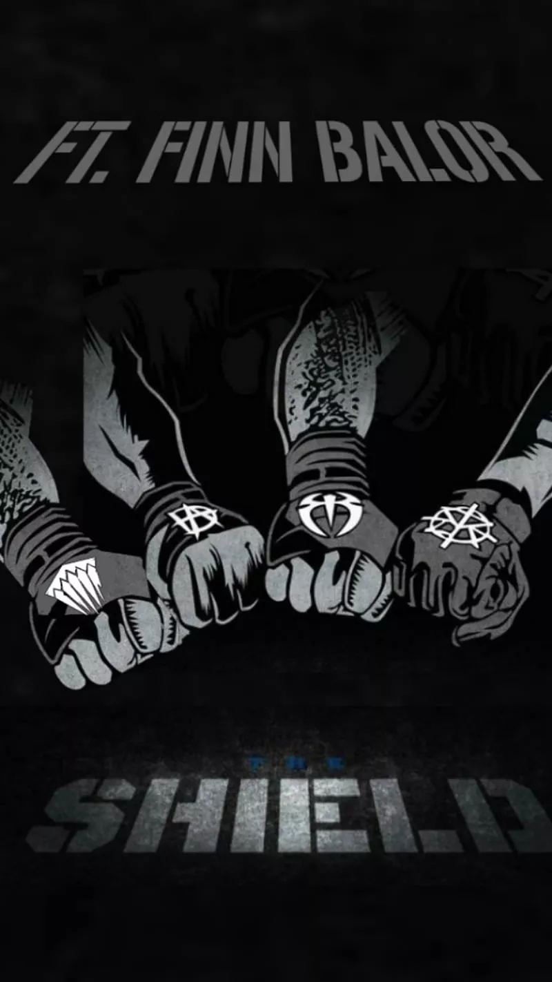 Shield 2, balor, finn, finn balor, wwe
