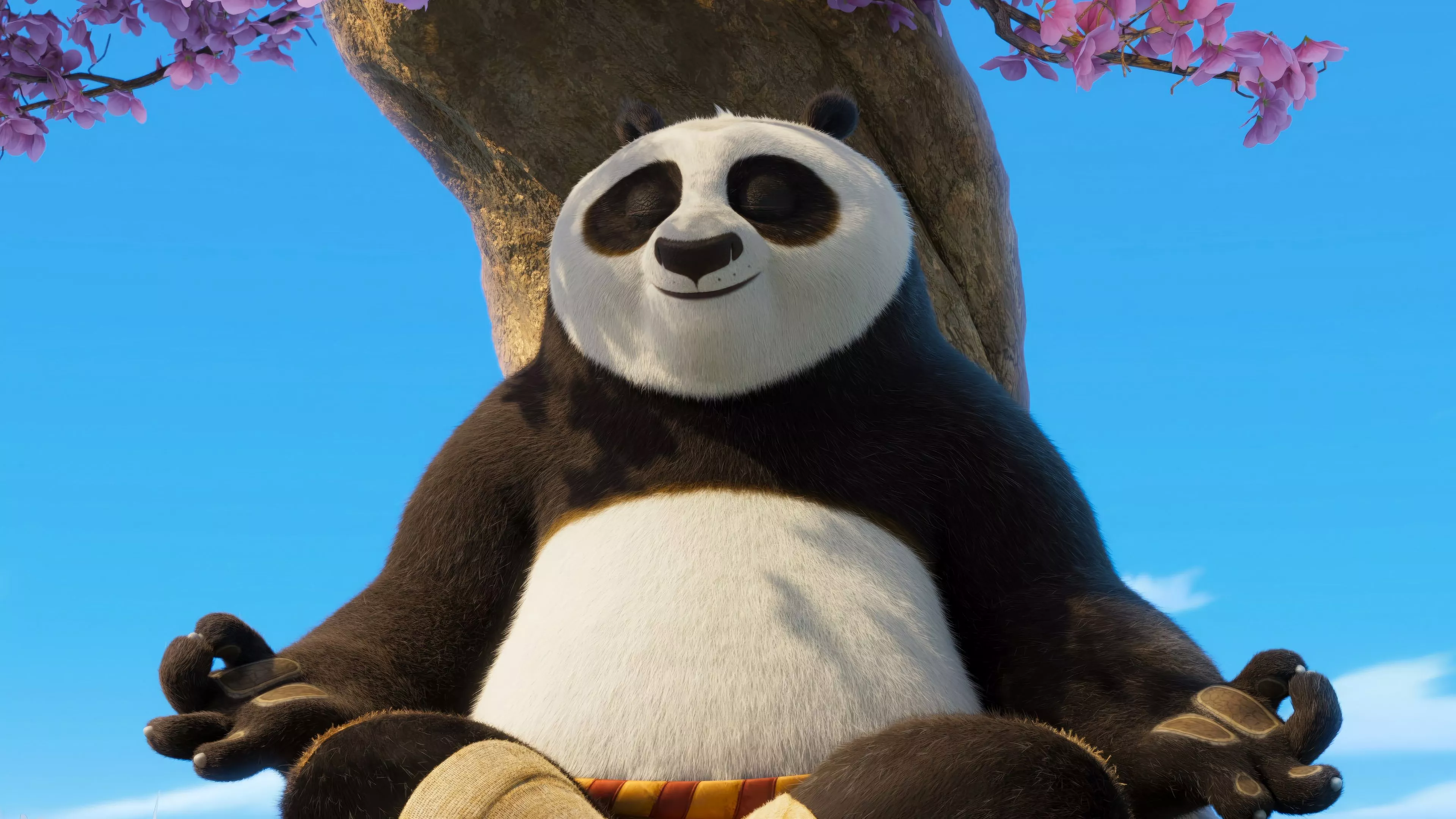 Kung Fu Panda 4 Po Wallpaper
