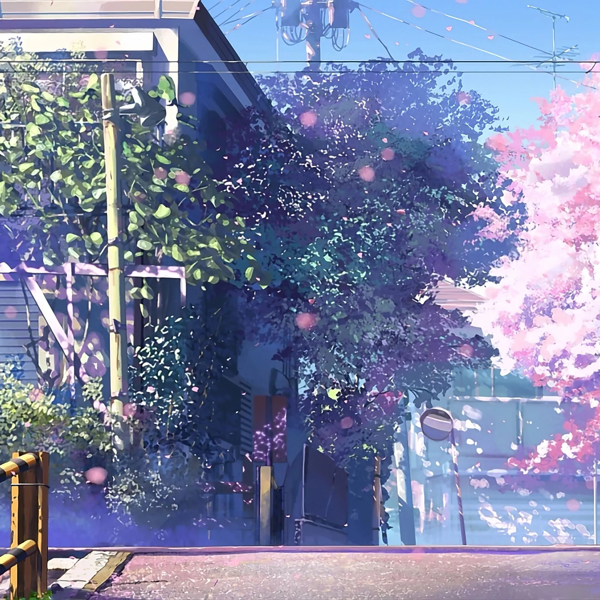 5-centimeters-per-second-4k-wallpapers-wallpaper-cave