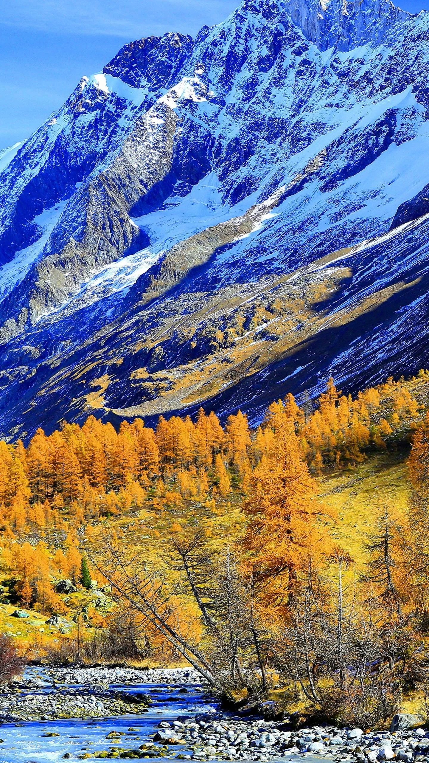 White Covered Winter Hills And Yellow