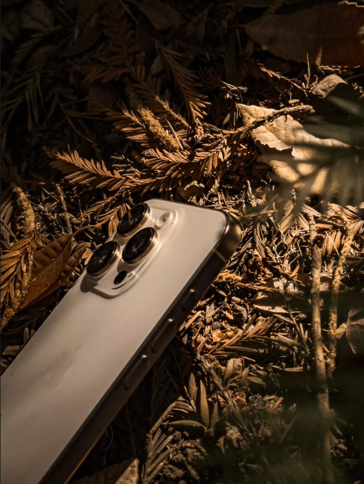 The iPhone 16 Pro Camera Review: Control