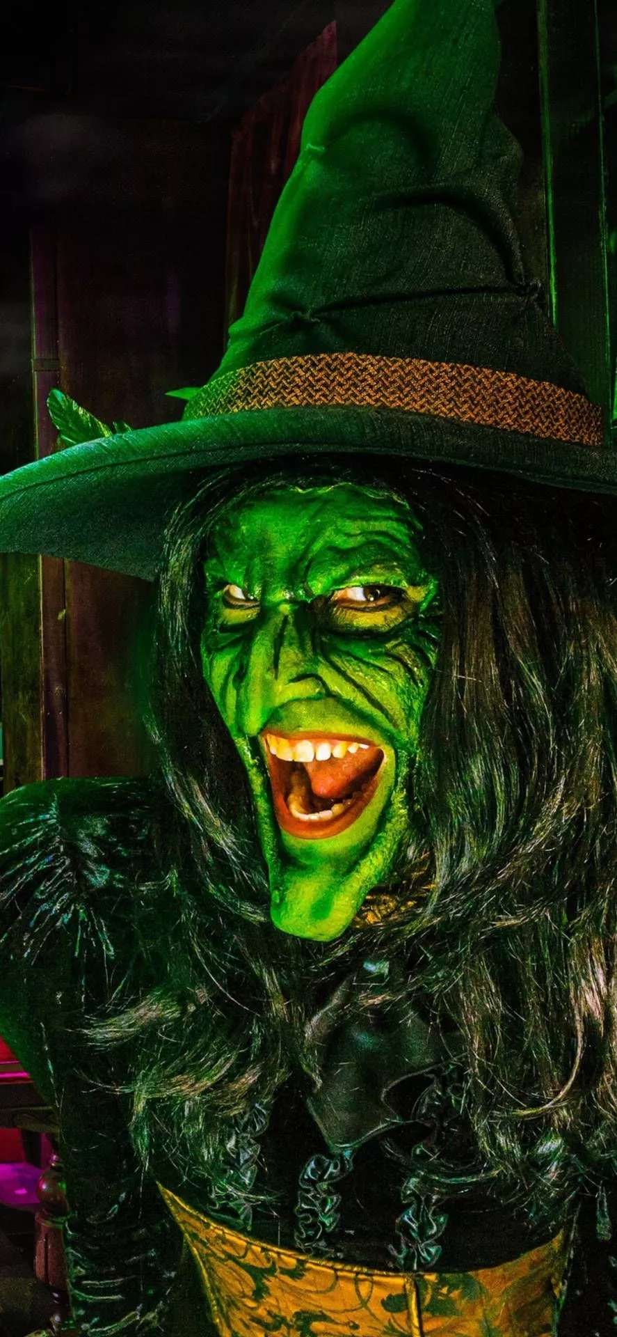 Download Wicked Broadway Themed